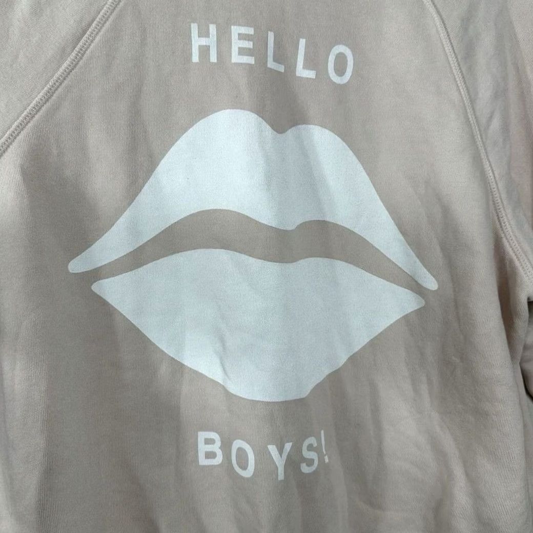 Wildfox Wildfox Hello Boys Lips Graphic Sweatshirt Blush Pink Crew Neck Womens M Size M / US 6-8 / IT 42-44 - 4 Thumbnail