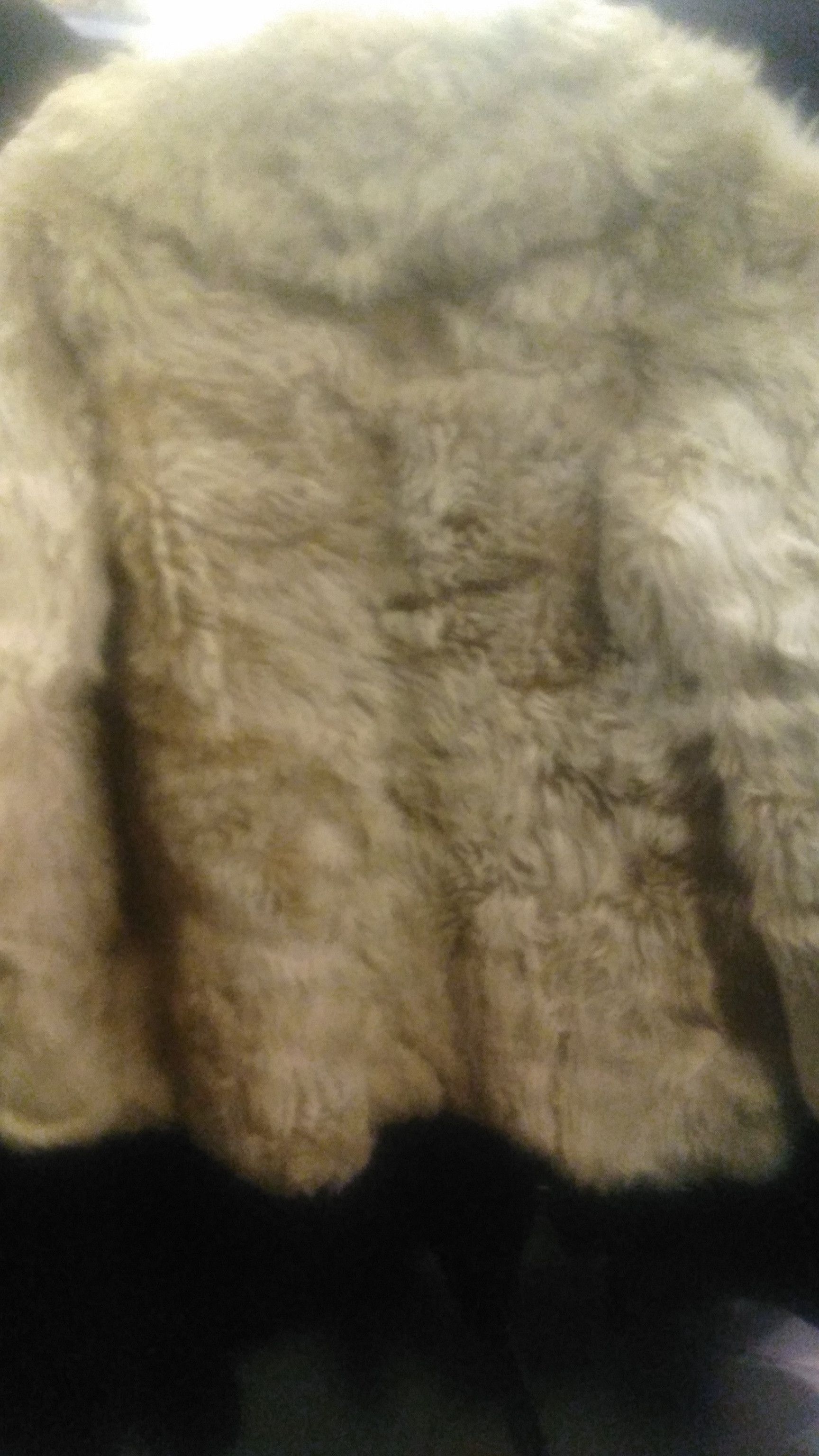 Canali Fur vest. Size L / US 10 / IT 46 - 1 Thumbnail