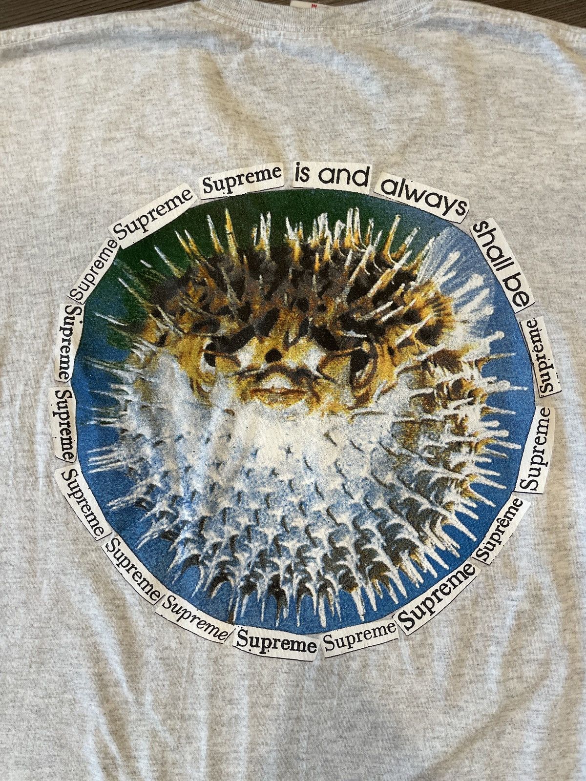 Supreme Supreme blowfish T-shirt Size US M / EU 48-50 / 2 - 1 Thumbnail