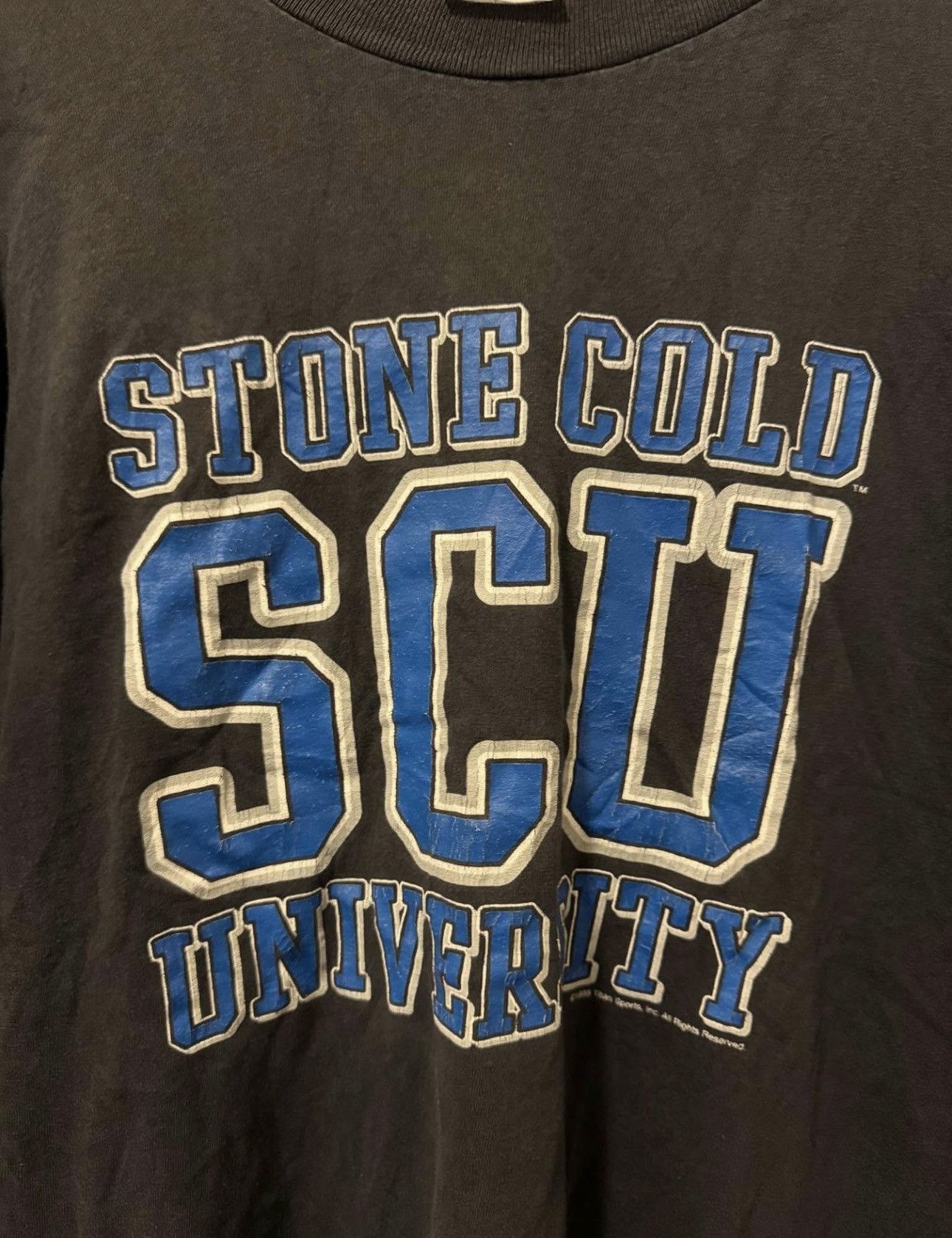 Vintage Vintage Stone Cold Steve Austin Stone Cold University Size US XL / EU 56 / 4 - 2 Thumbnail