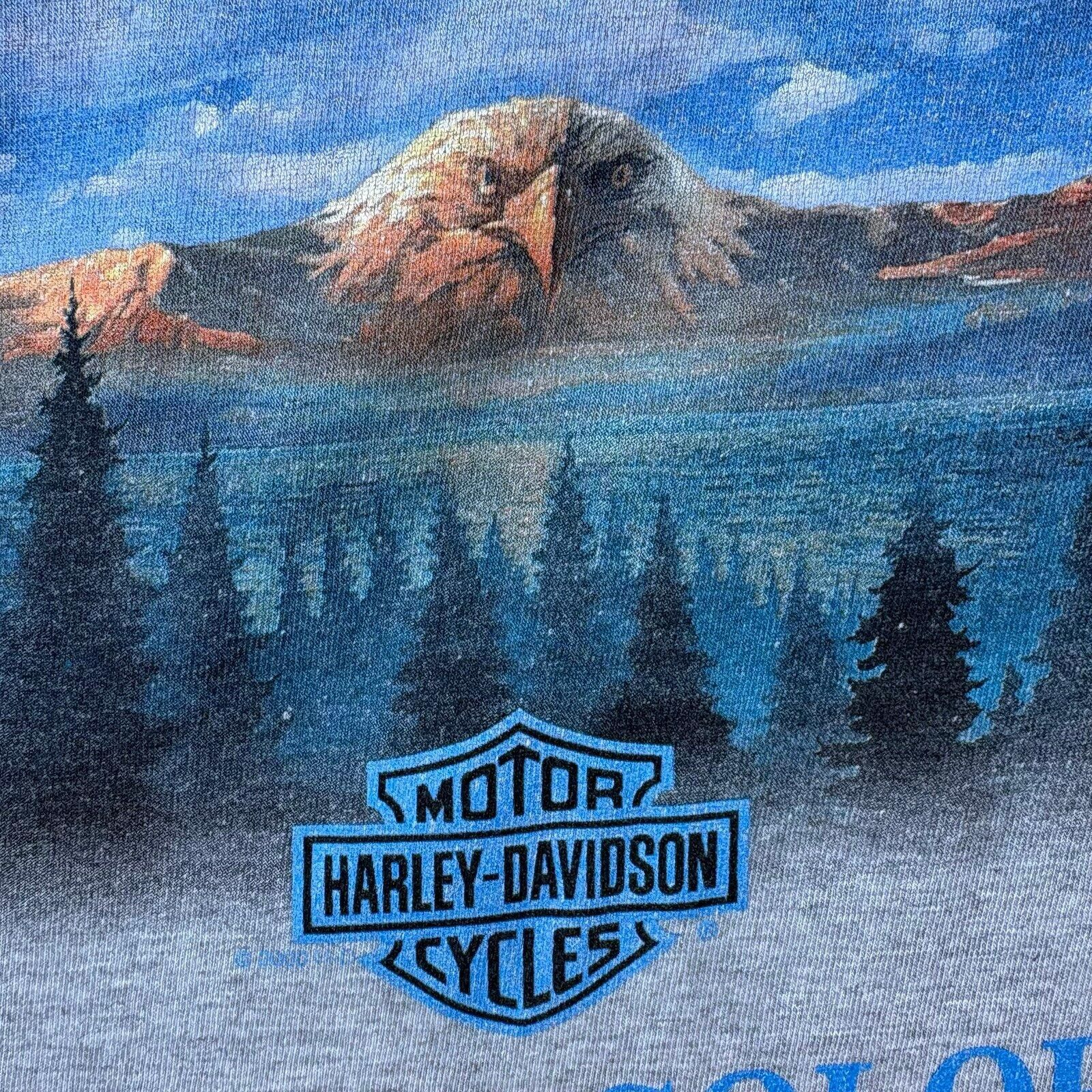 Harley Davidson Vintage Harley-Davidson faded T-shirt Size US L / EU 52-54 / 3 - 3 Thumbnail