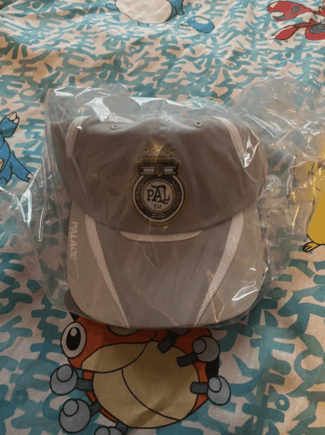 Palace Palace Pro Shell 6-Panel Grey FW23 Size ONE SIZE - 5 Thumbnail