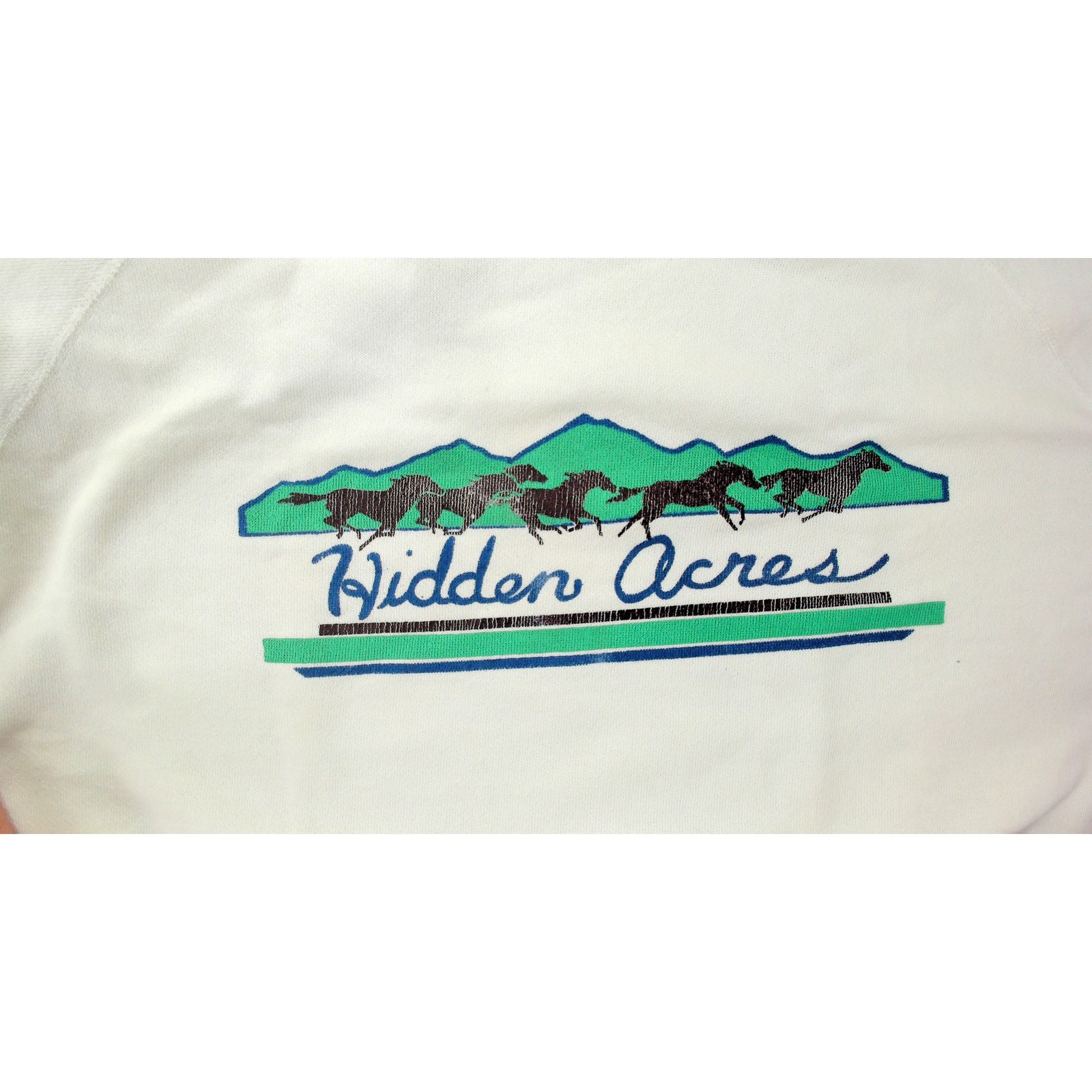 Vintage Discus Athletic 80s Hidden Acres Boxy Slouchy Sweatshirt Size XL / US 12-14 / IT 48-50 - 9 Thumbnail