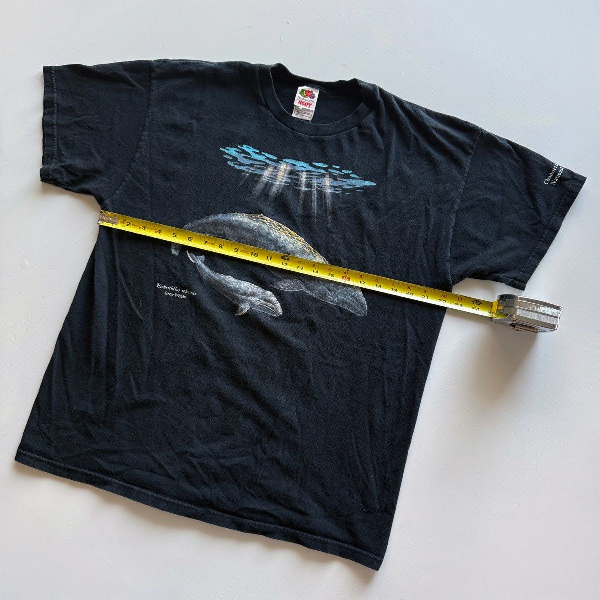 Vintage 2001 Vintage Y2K Grey Whale Nature Tee Size US XL / EU 56 / 4 - 8 Thumbnail