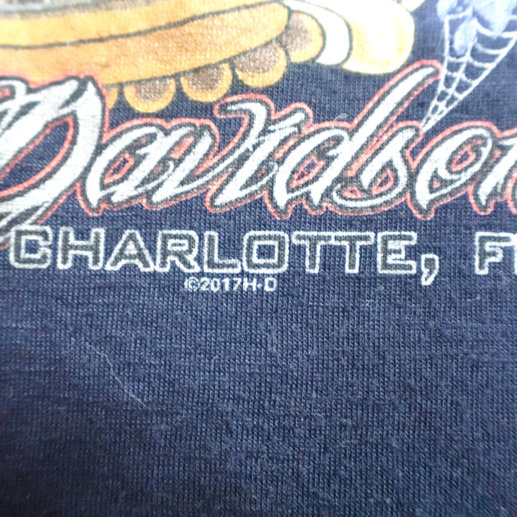 Harley Davidson Harley-Davidson Womens Shirt Large Blue Black Widow Port Charlotte FL Shirt Women L Blue Size L / US 10 / IT 46 - 5 Thumbnail