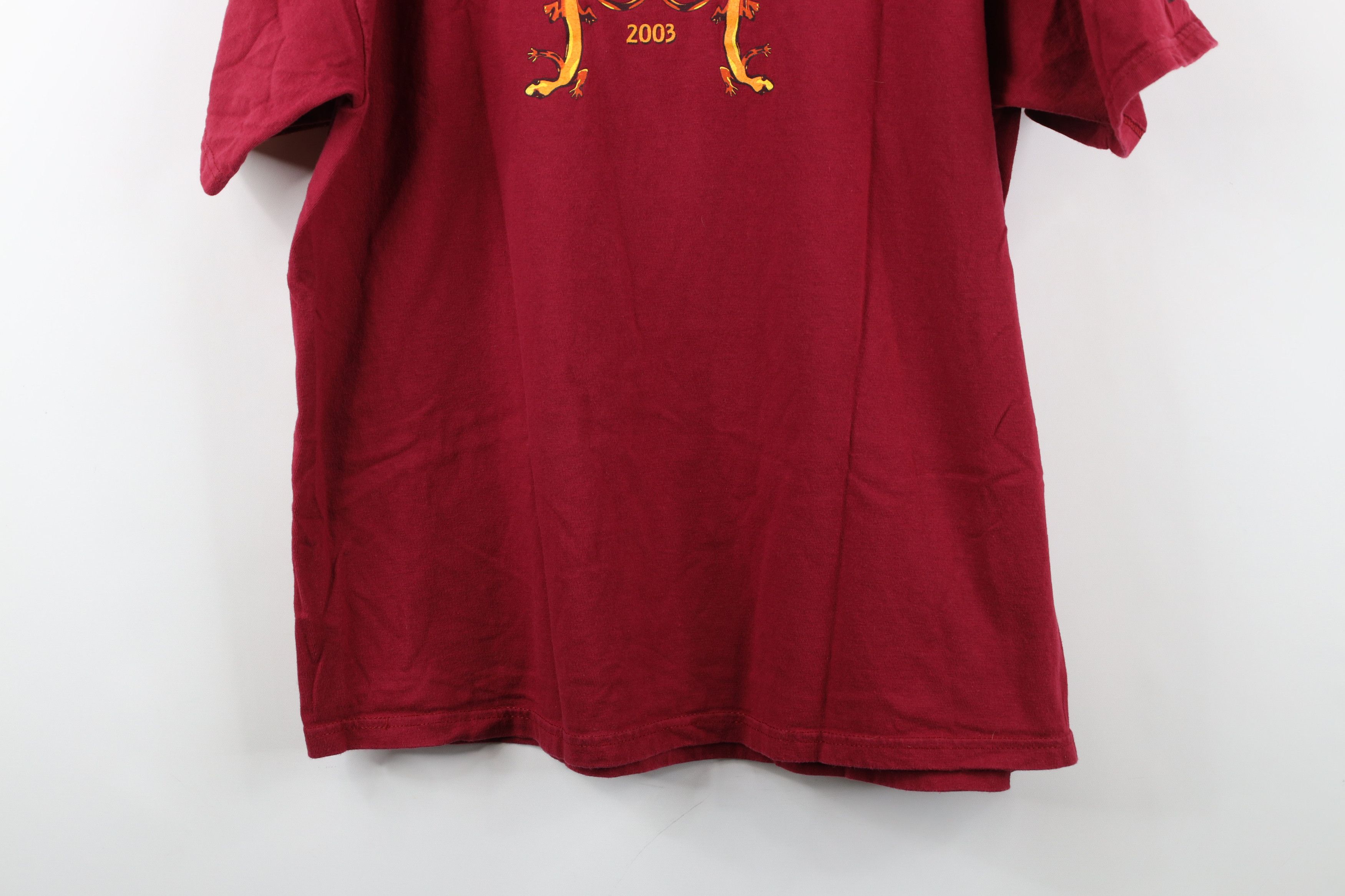 Vintage Vintage Y2K 2003 Swamp Arts Festival Lizard Gecko T-Shirt Size US L / EU 52-54 / 3 - 12 Thumbnail