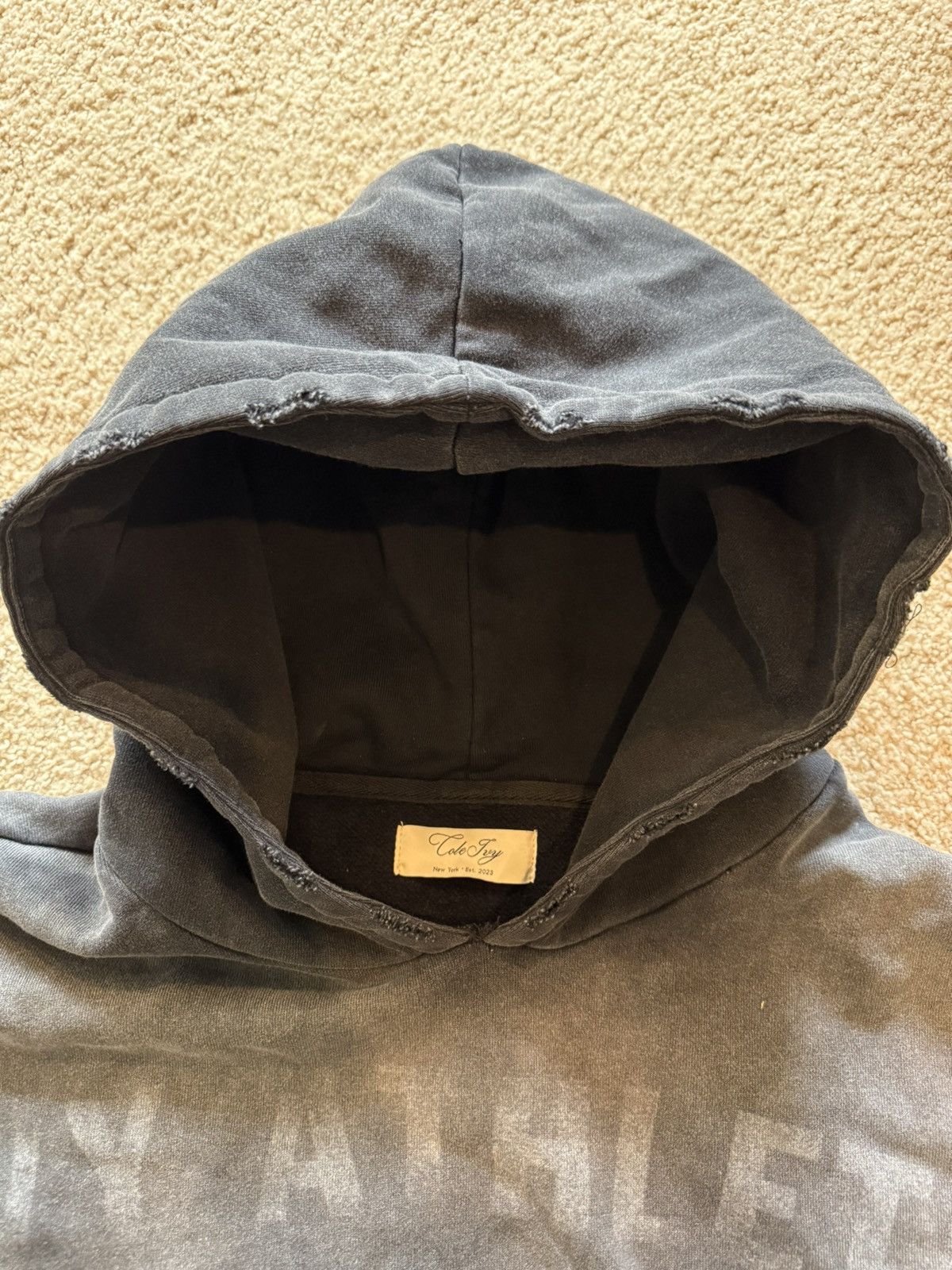 Other Cole Ivy hoodie Size US M / EU 48-50 / 2 - 2 Thumbnail