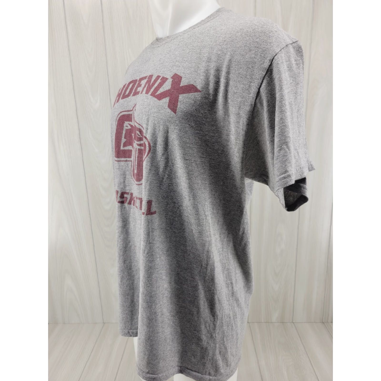 Jerzees Cumberland University Phoenix T-Shirt Gray Size Large Size US L / EU 52-54 / 3 - 3 Thumbnail