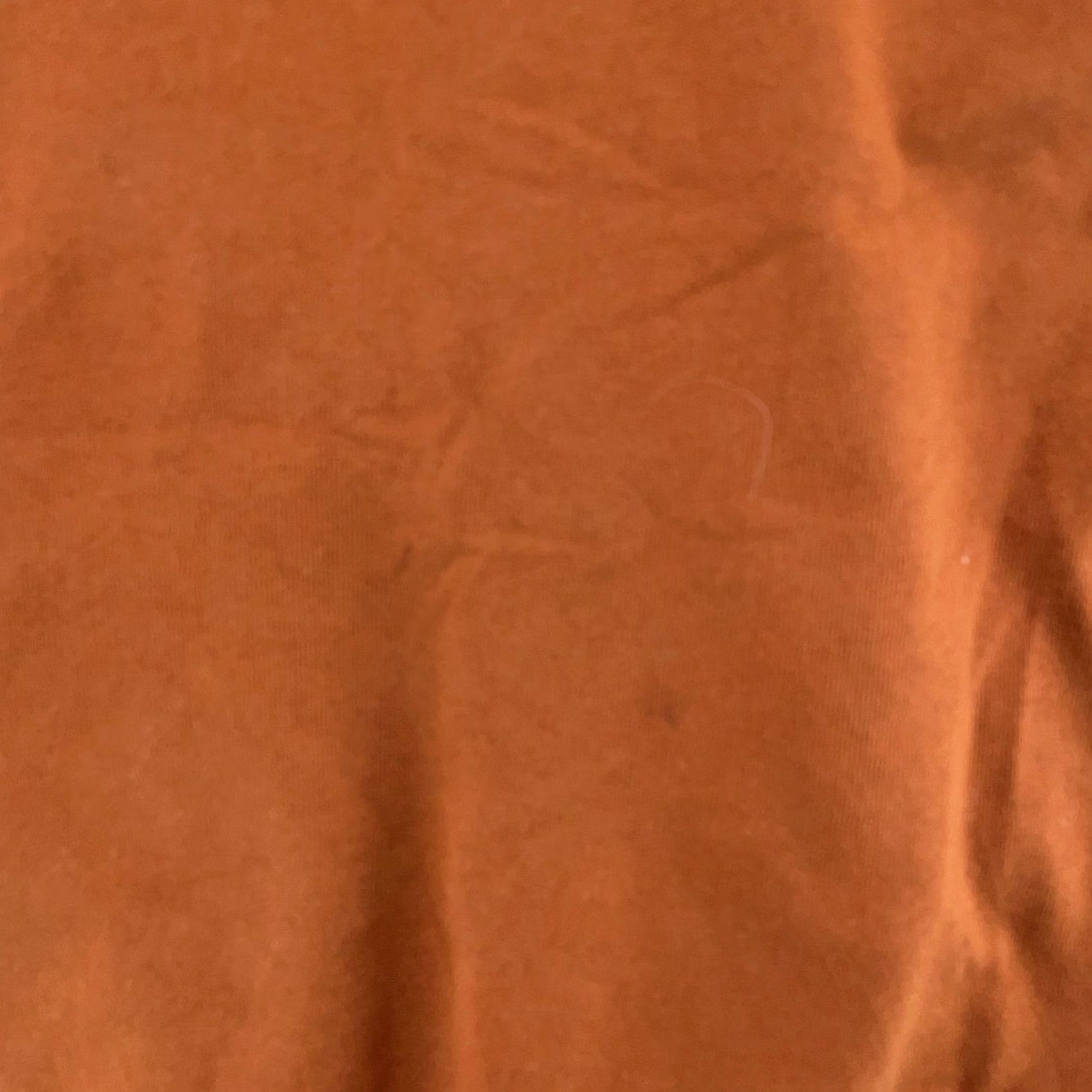 Disney Disney Animal Kingdom Tee Shirt Mens XL Brown Short Sleeve Burnt Orange Graphic Print Crew Neck T-Shirt Outdoor Mens XL Brown Disney Shirt Size US XL / EU 56 / 4 - 3 Thumbnail