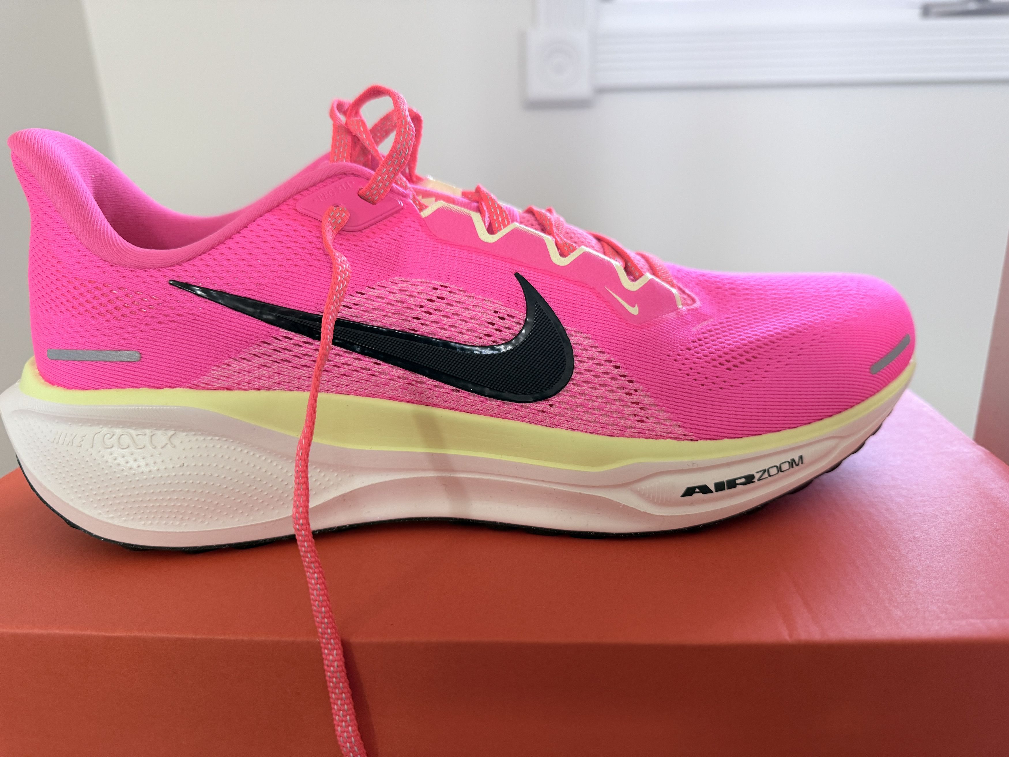 Nike Nike Pegasus 41 Hyper Pink/Sequoia/Guava Ice|M11 | DEADSTOCK Size US 11 / EU 44 - 1 Thumbnail
