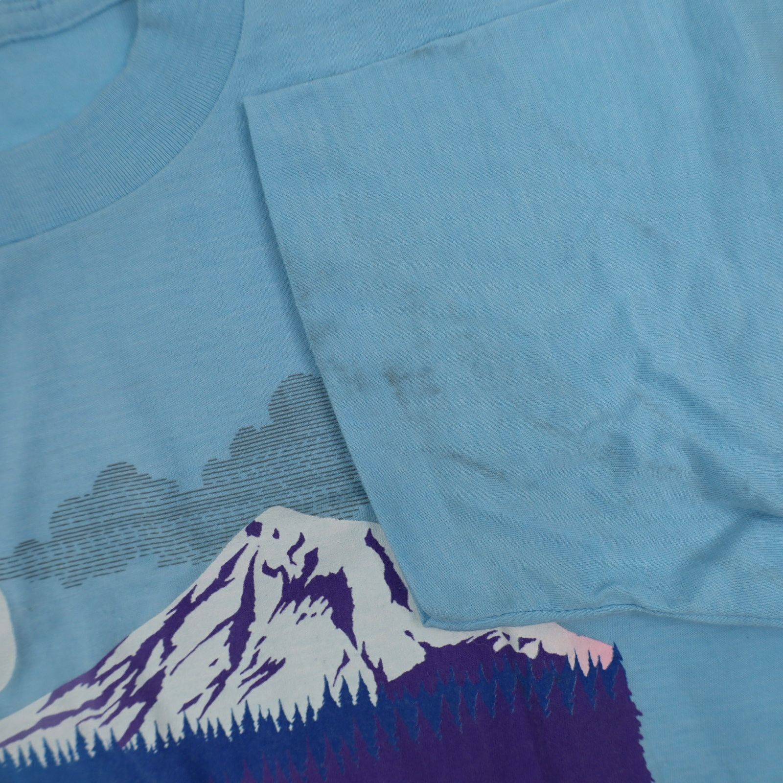 Vintage Vintage 80s Oregon Landscape Graphic T Shirt Size US M / EU 48-50 / 2 - 4 Thumbnail