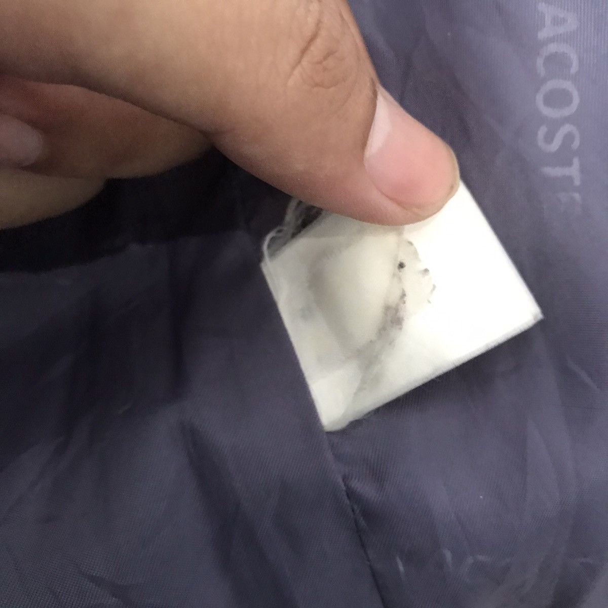 Designer × Lacoste Lacoste Down Puffer Jacket outdoor mountaineering Bulang Size US XL / EU 56 / 4 - 13 Thumbnail