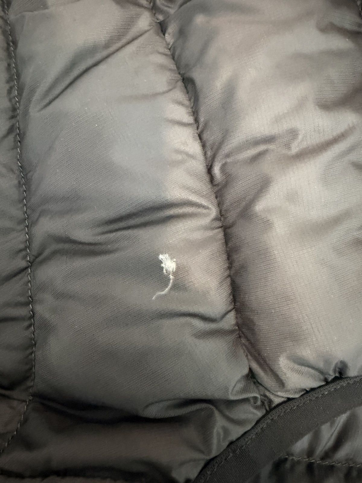 Arc'teryx × Palace Palace x Arcteryx Down Jacket Size US M / EU 48-50 / 2 - 6 Thumbnail