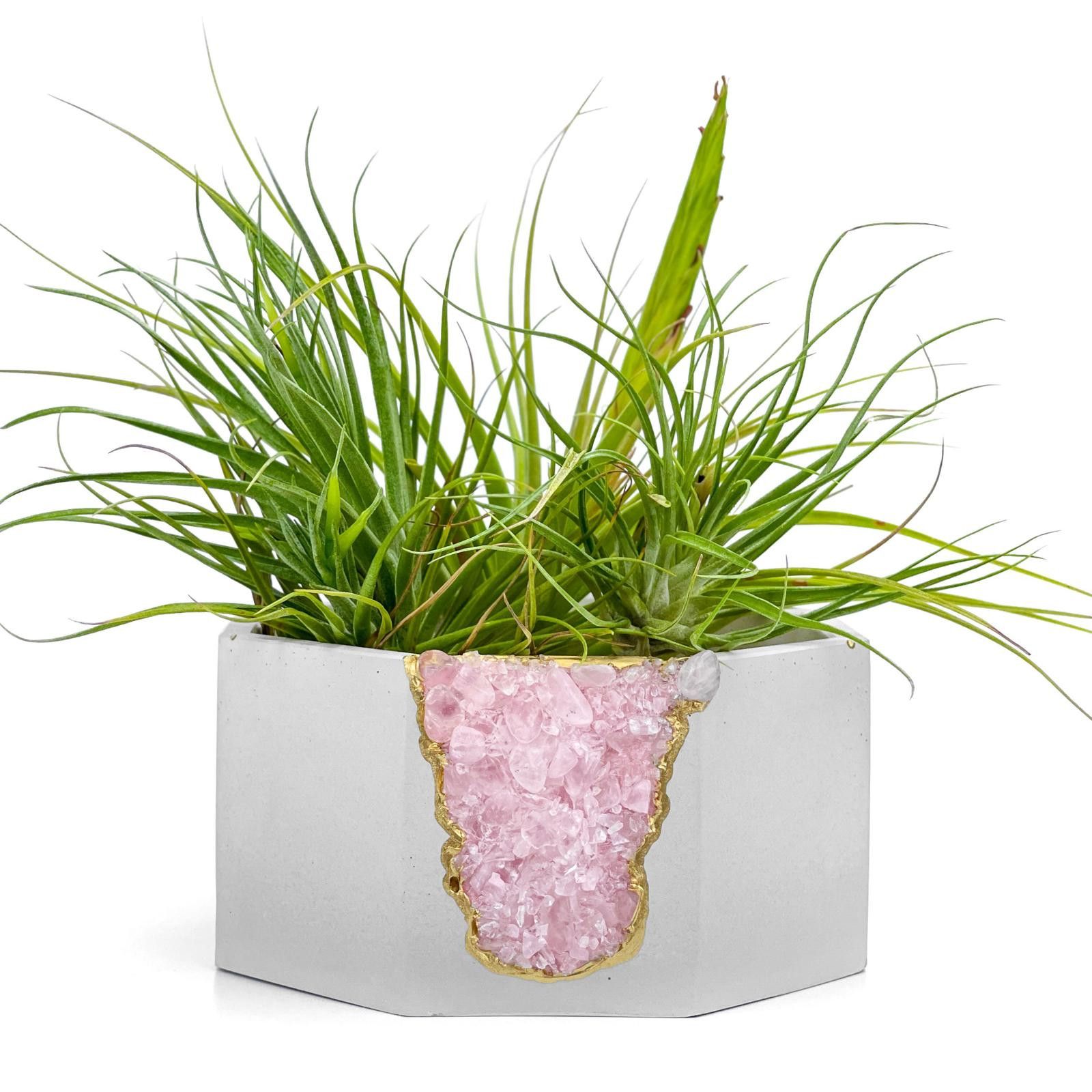 Other Succulent Crystal Planter | Raw Rose Quartz Air Plant Holder Size ONE SIZE - 7 Thumbnail