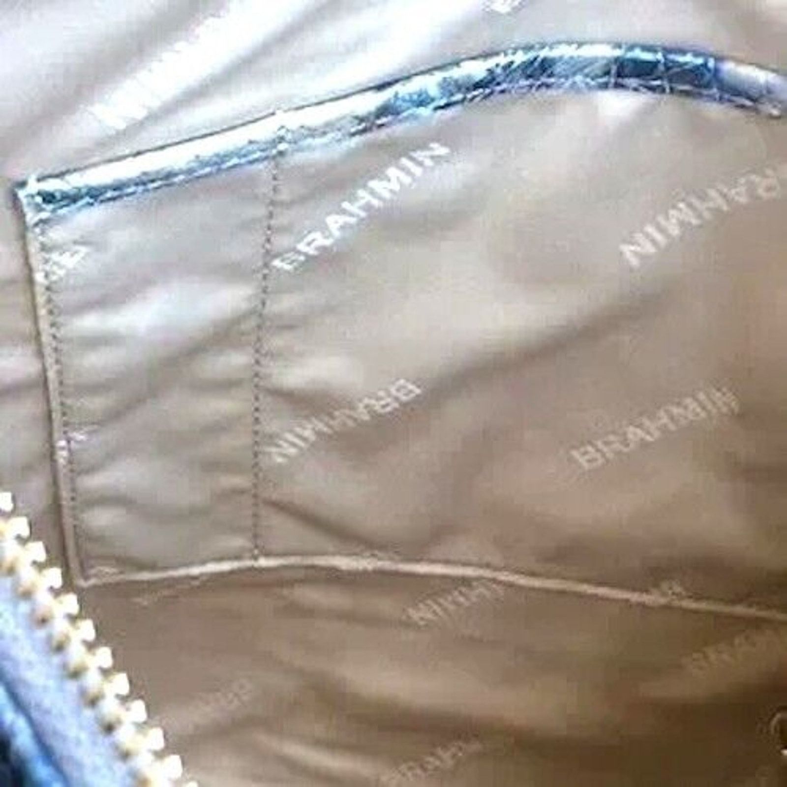 BRAHMIN Brahmin Crossbody Color: Icy Python Melbourne 10" by 10" NWT Size ONE SIZE - 7 Thumbnail