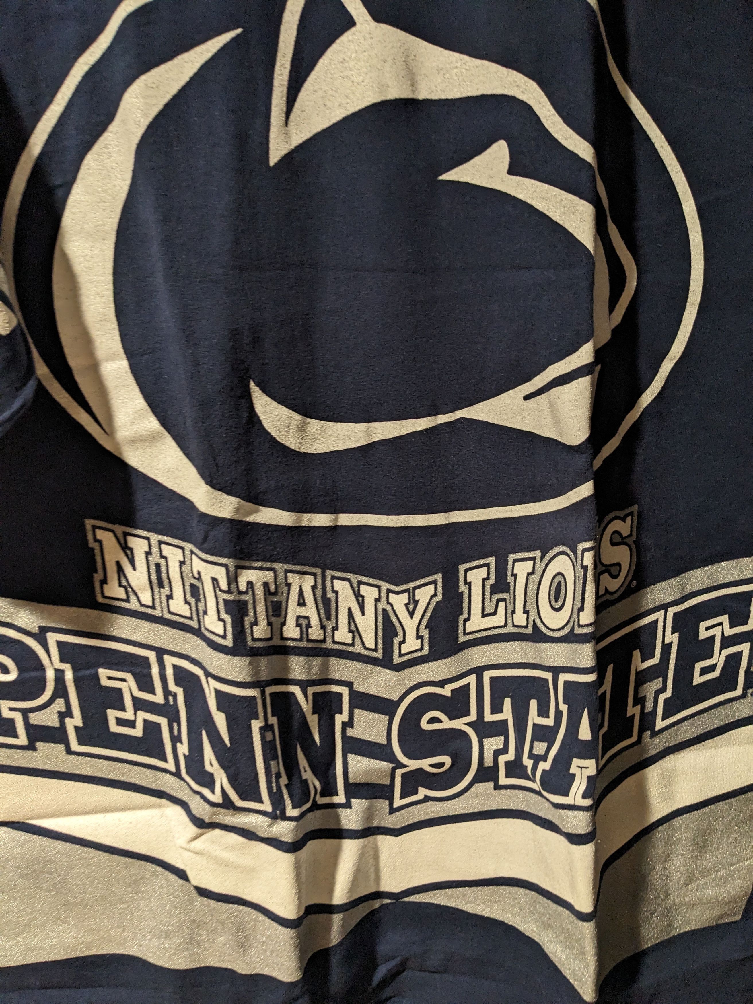 Salem Sportswear × Vintage Vintage 90s Penn State University Nittany 3/4 Sleeve T-Shirt Size US XL / EU 56 / 4 - 2 Thumbnail