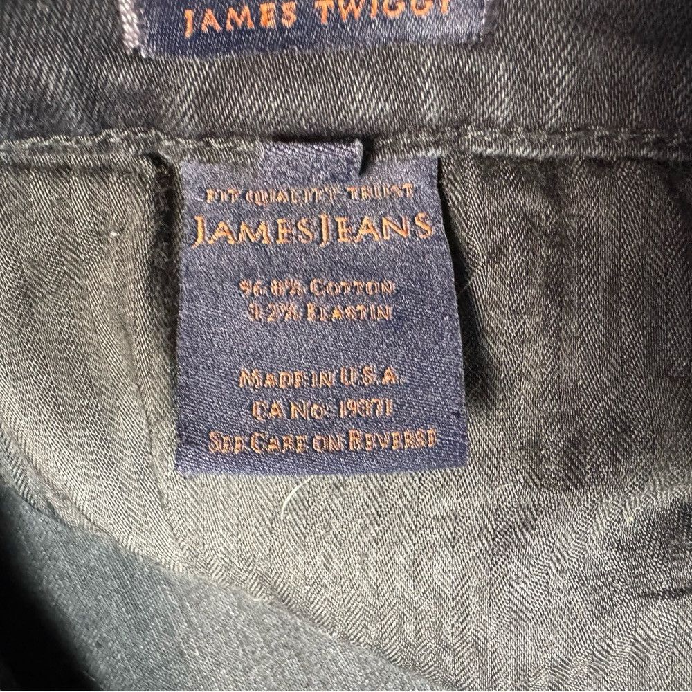 James Jeans James Jeans Twiggy London Jeans Size 28 Size 28" / US 6 / IT 42 - 6 Thumbnail