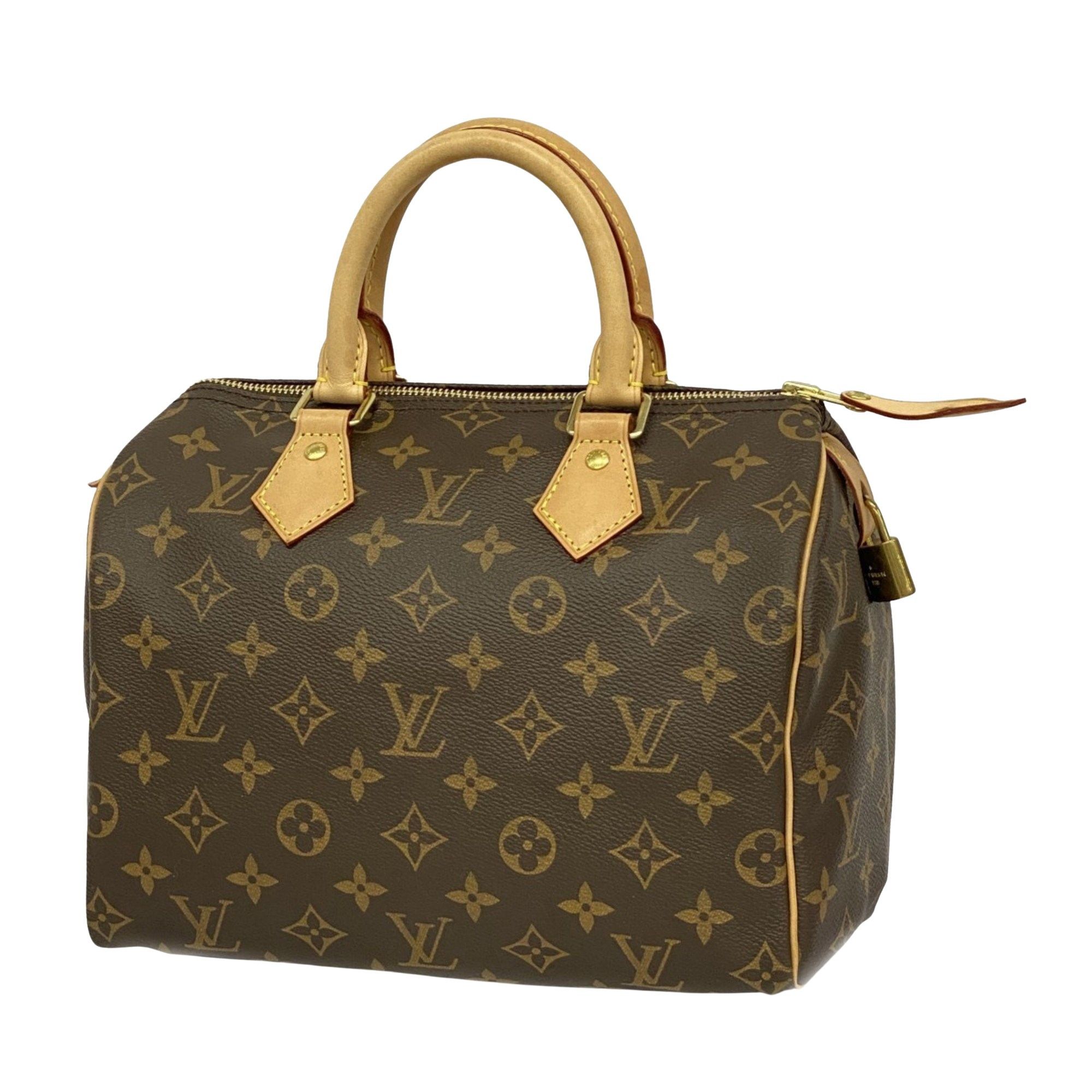 Louis Vuitton Louis Vuitton handbag Size ONE SIZE - 1 Thumbnail