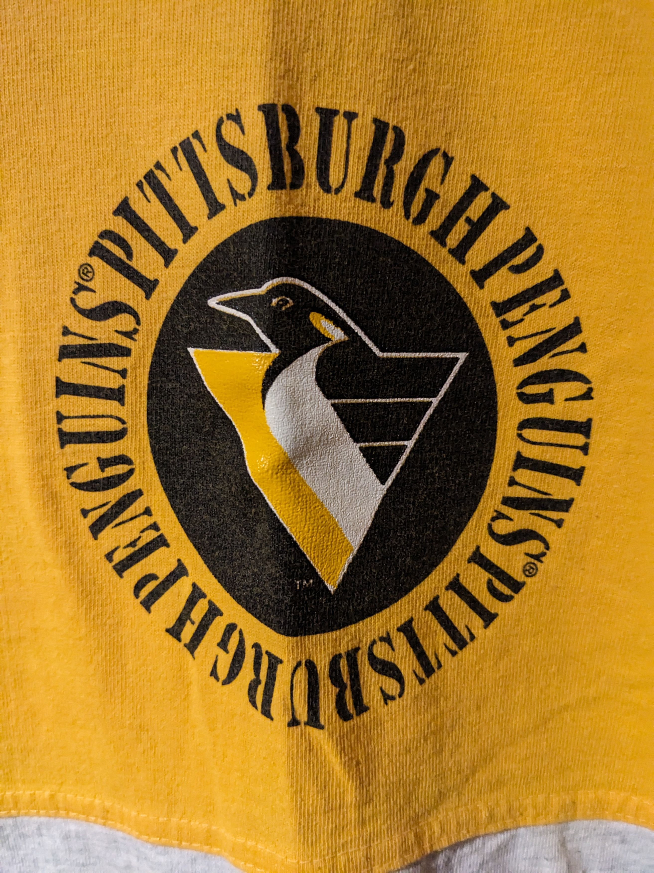 NHL × Salem Sportswear × Vintage Vintage 1994 Pittsburgh Penguins Salem Sportswear T-Shirt Size US M / EU 48-50 / 2 - 3 Thumbnail