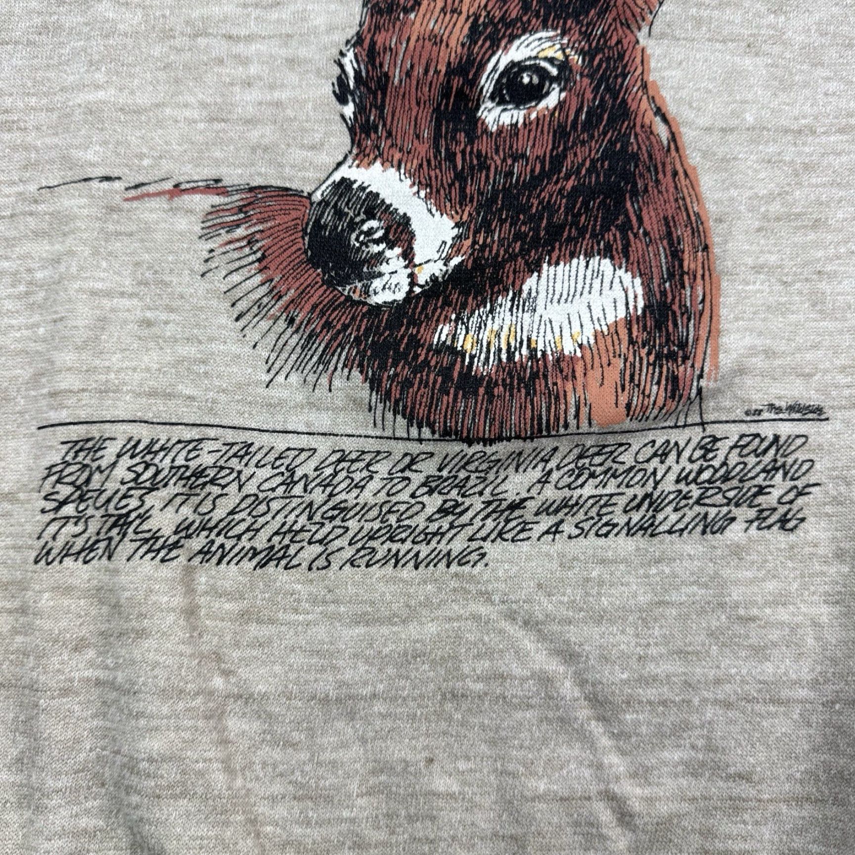 Vintage VINTAGE Sportsman Sweatshirt Shirt Adult L Brown Nature Animals 80s Mens Size US L / EU 52-54 / 3 - 4 Thumbnail