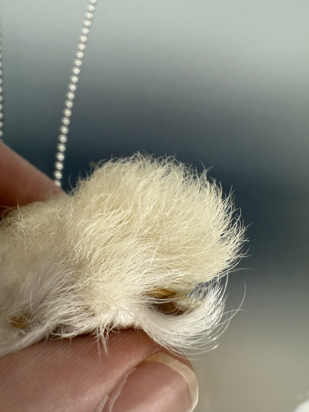 Chrome Hearts Chrome Hearts Lucky Rabbit‘s Foot Keychain Pendant Size ONE SIZE - 3 Thumbnail