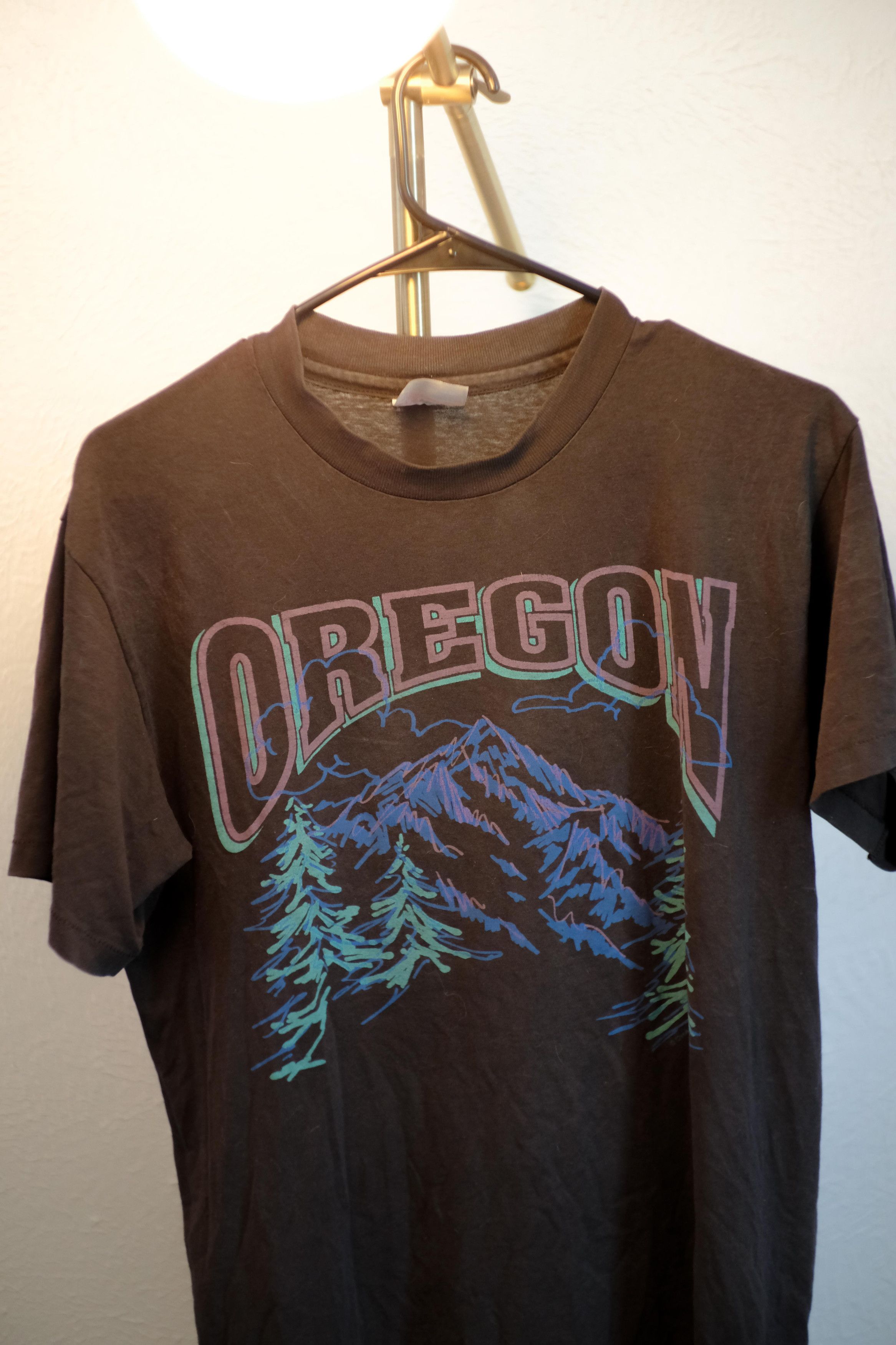 Hanes × Vintage Vintage Hanes Oregon tee Size US M / EU 48-50 / 2 - 1 Thumbnail