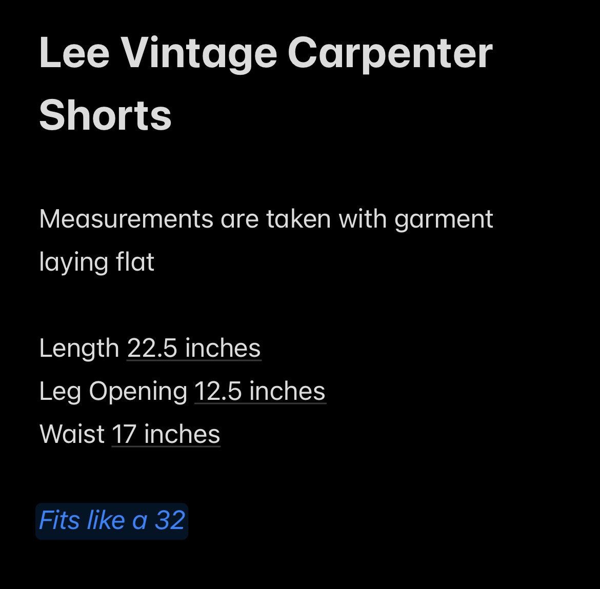 Lee Vintage Lee Carpenter Baggy Jorts Size US 32 / EU 48 - 5 Thumbnail