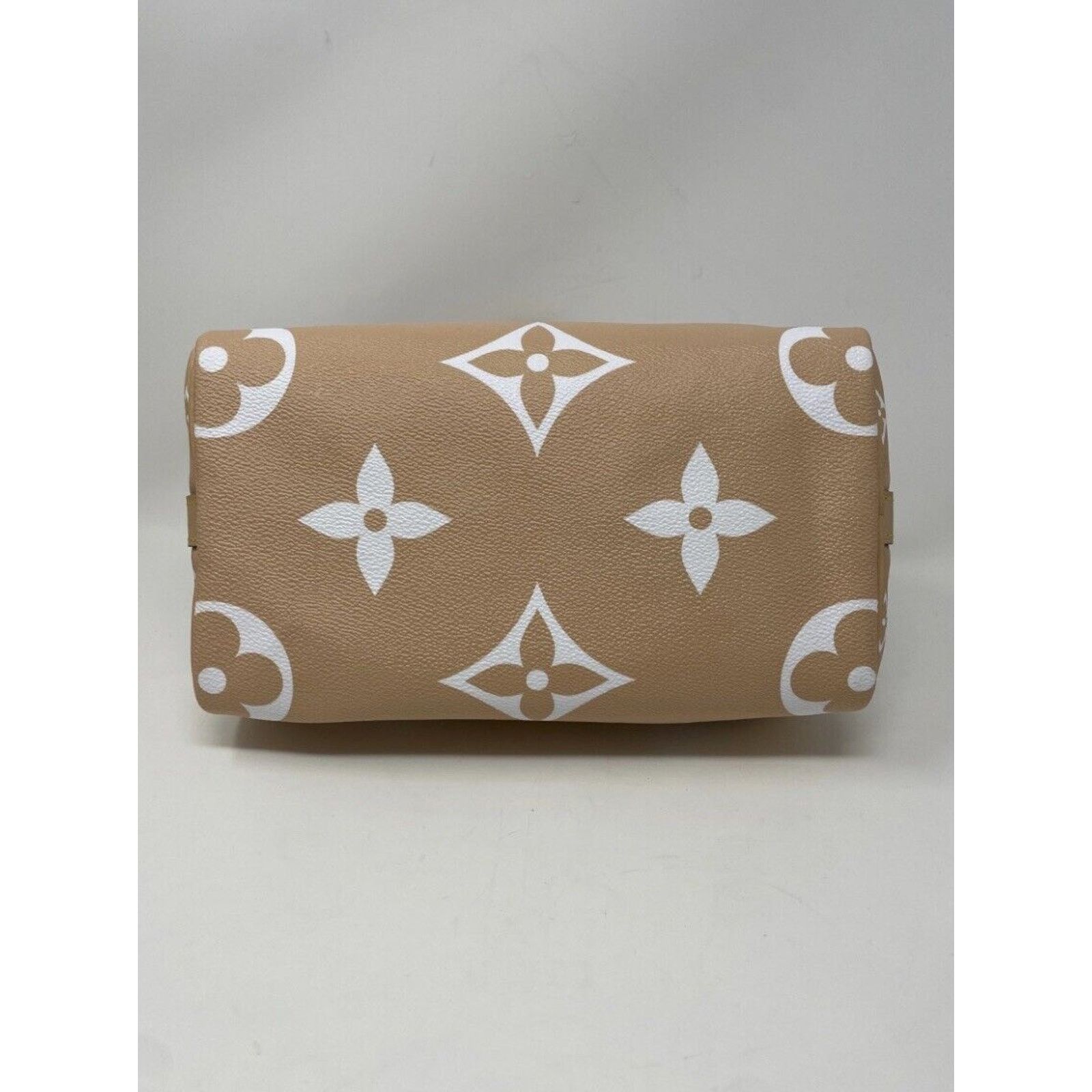 Louis Vuitton Louis Vuitton Speedy 25 Bandouliere By The Pool Brume Mist Size ONE SIZE - 10 Thumbnail