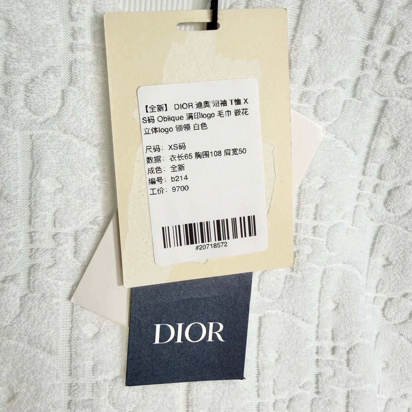 Dior Dior Oblique Logo White Short-Sleeve T-Shirt XS Size US XS / EU 42 / 0 - 5 Thumbnail
