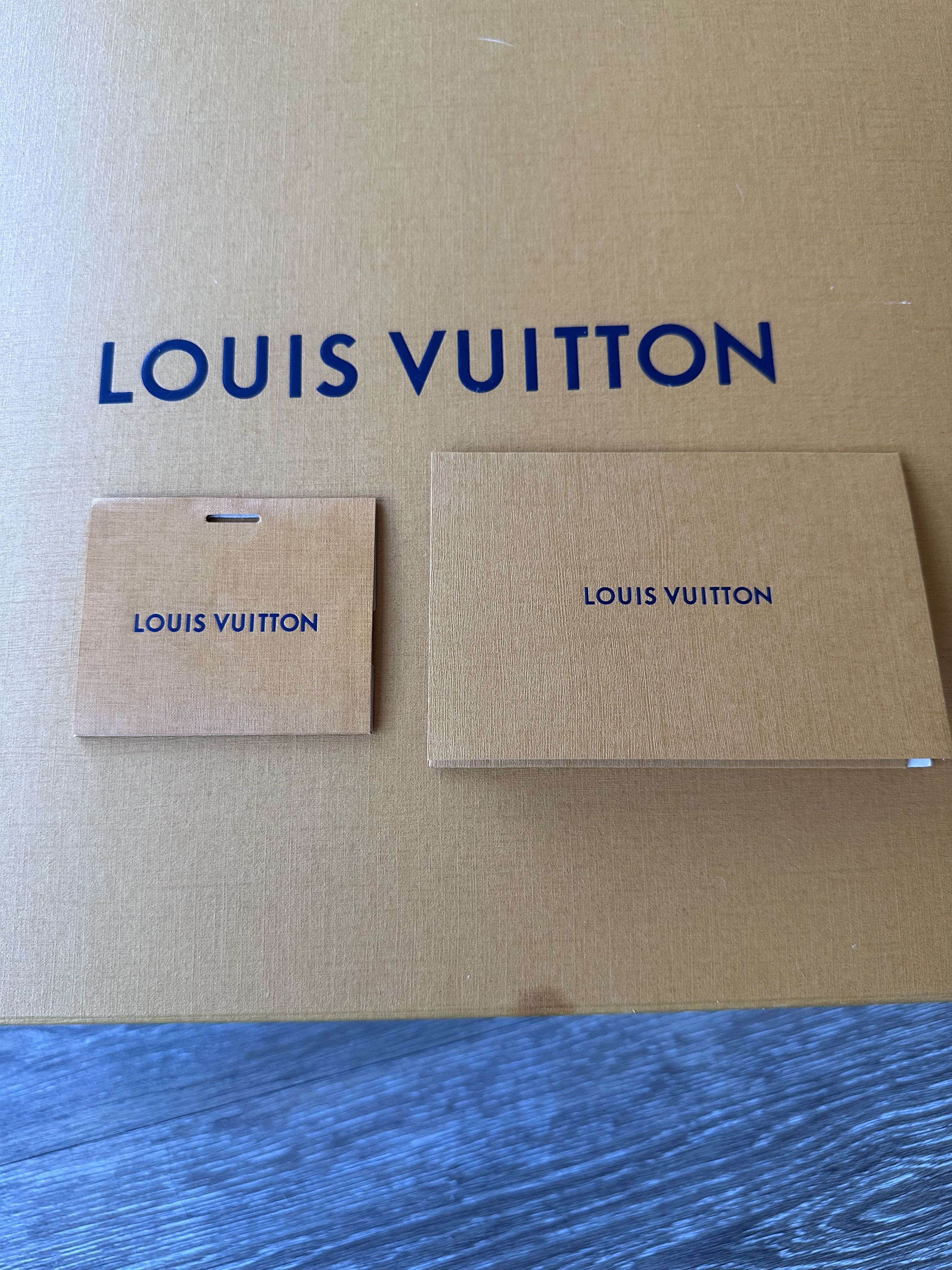 Louis Vuitton Louis Vuitton Ranger ankle boot “Noir” Size US 10 / EU 43 - 9 Thumbnail