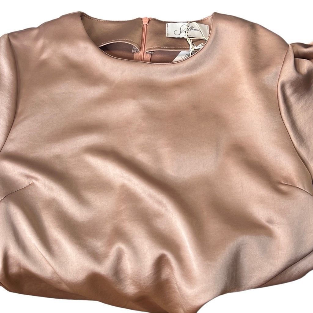 Blush NWT SOALLURE Satin Blush Long Trapeze Dress (004) Size M / US 6-8 / IT 42-44 - 13 Thumbnail