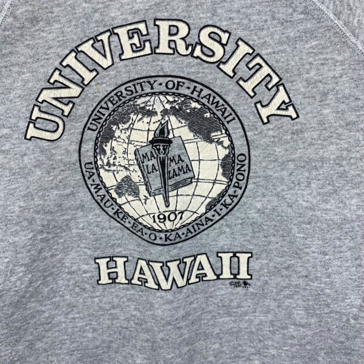 Vintage Vintage 90's UNIVERSITY OF HAWAII Logo Crewneck Sweatshirt Size US L / EU 52-54 / 3 - 2 Thumbnail
