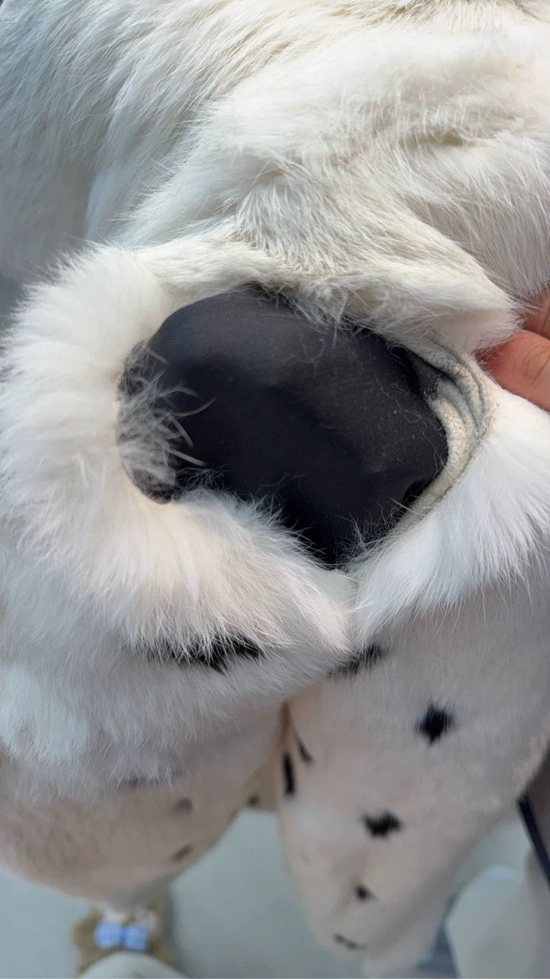 Saint Laurent Paris Saint Laurent Paris Saint Laurent Spotted Fur Coat Size 36 Size US S / EU 44-46 / 1 - 6 Thumbnail