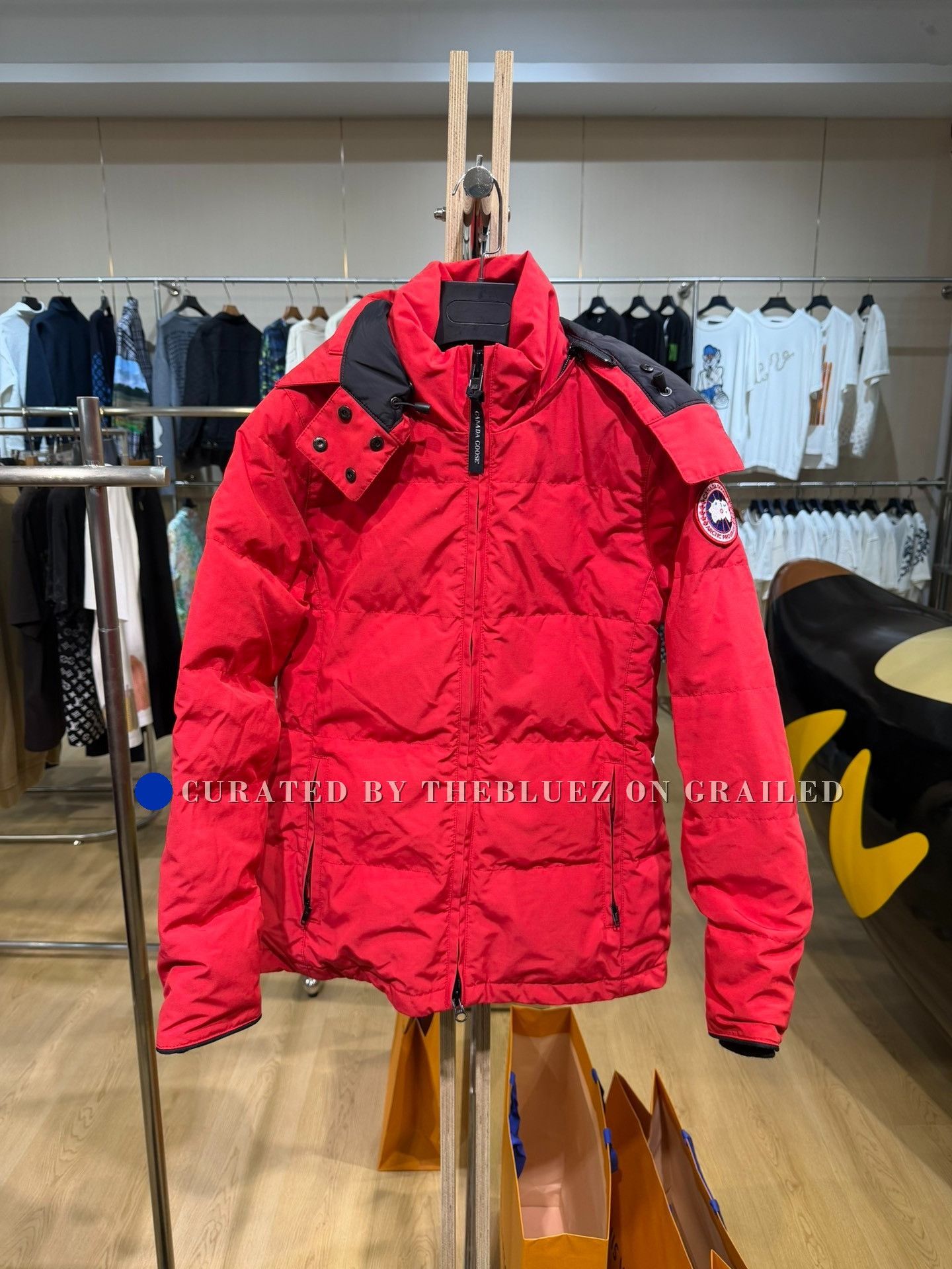 Canada Goose Canada Goose Women's Parka Down Jacket Size M / US 6-8 / IT 42-44 - 1 Thumbnail