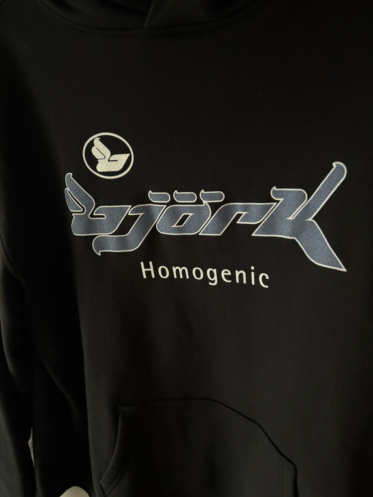 Other Bjork homogenic hoodie Size US L / EU 52-54 / 3 - 2 Thumbnail
