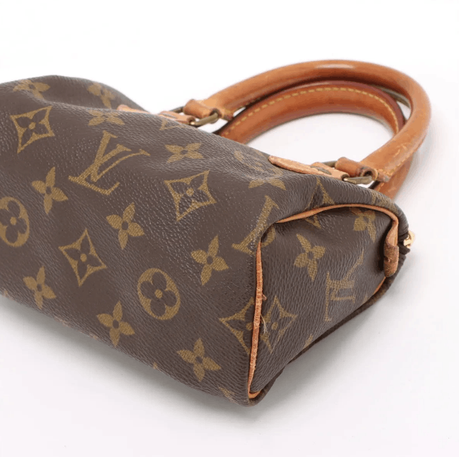 Louis Vuitton Monogram Mini Speedy Size ONE SIZE - 3 Thumbnail