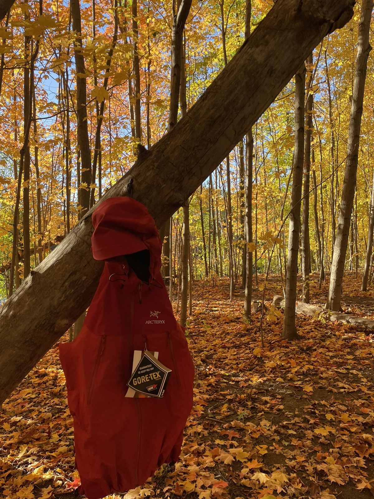 Arc'teryx × Goretex × Vintage DSWT Arc’teryx Theta AR Jacket Red New GoreTex Rain Coat Size US S / EU 44-46 / 1 - 7 Thumbnail