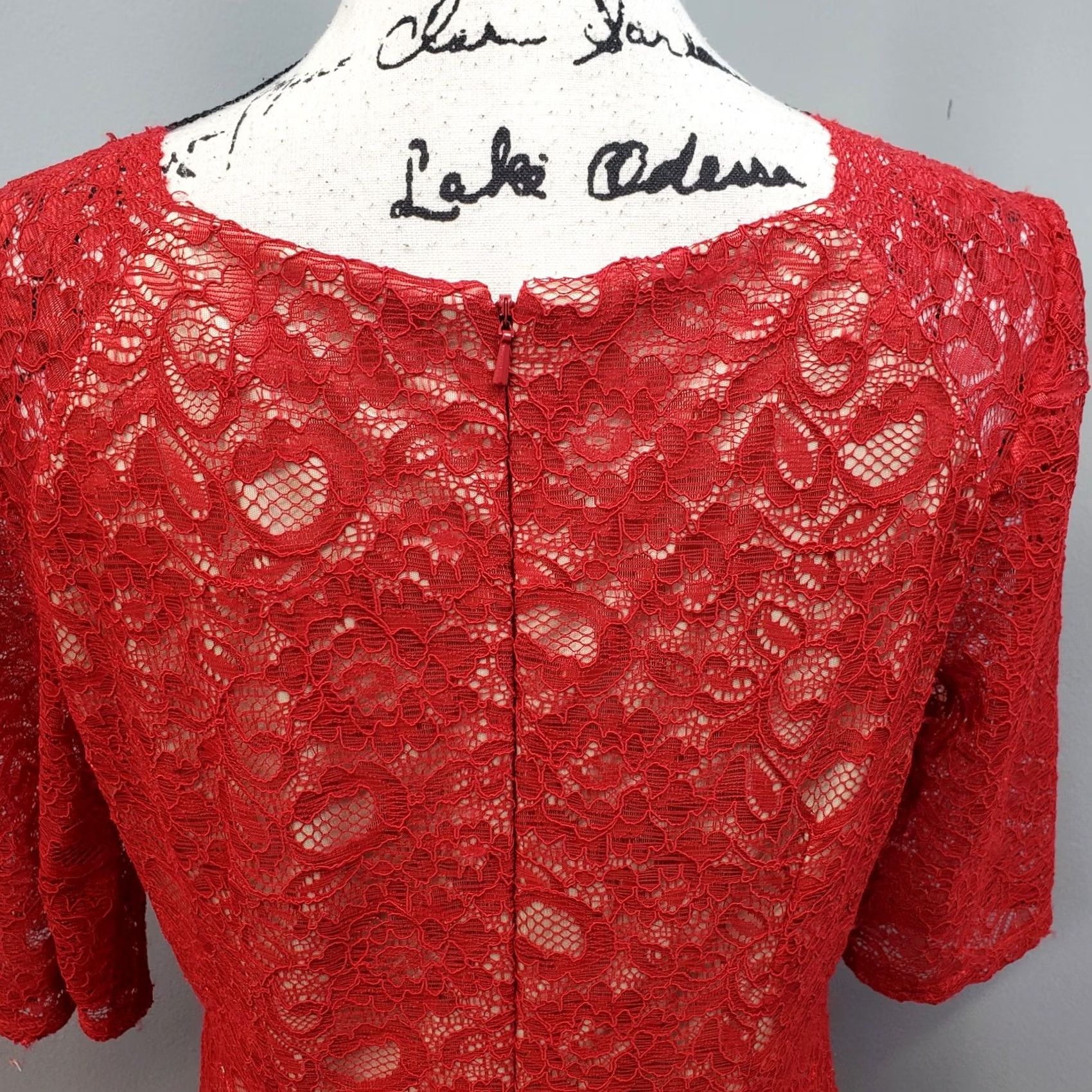 Vintage Jax Woman Red Tan Lace Overlay Knee Length 3/4 Sleeve Sheath Dress Size 10 Back Zip** Size L / US 10 / IT 46 - 7 Thumbnail
