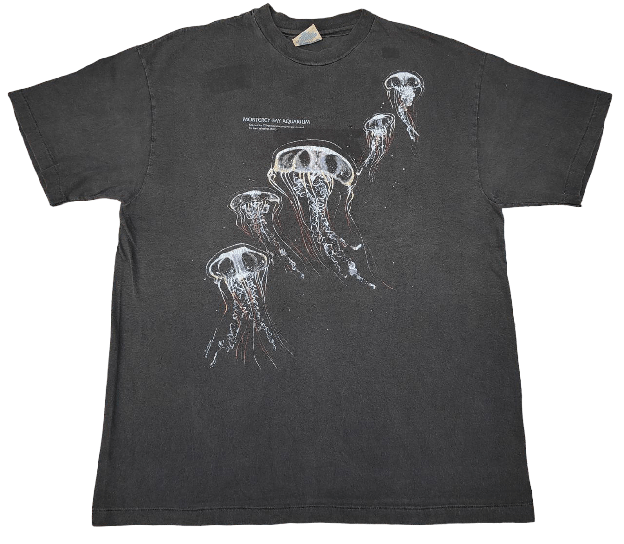©️1992 Vtg Sea Nettles Jelly fish Habitat T