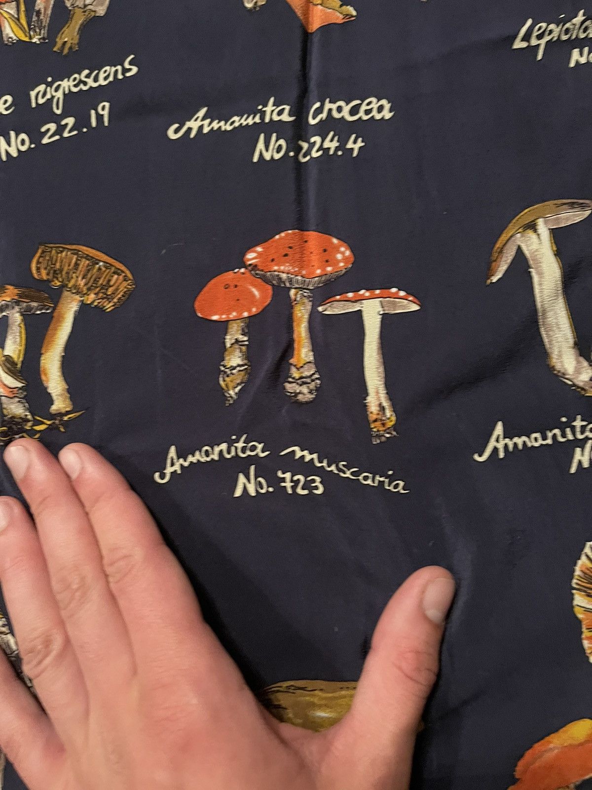 Other 🍄 Mushrooms pattern vintage silk scarf Size ONE SIZE - 4 Thumbnail