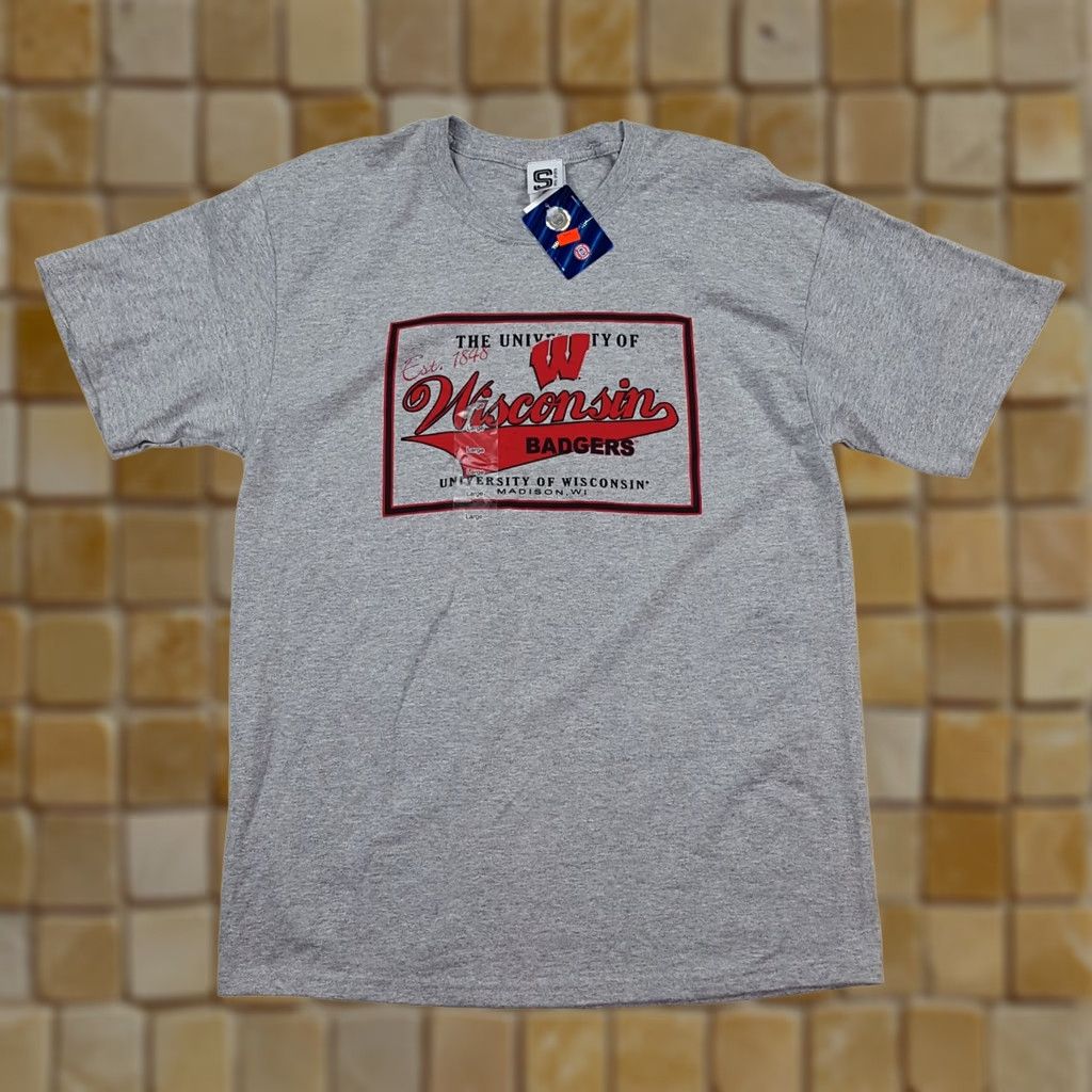 NCAA VINTAGE Wisconsin Badgers T-Shirt Mens Large Gray University NCAA College retro 90s athletic School Graphic Print Spike Sports Size US L / EU 52-54 / 3 - 1 Thumbnail