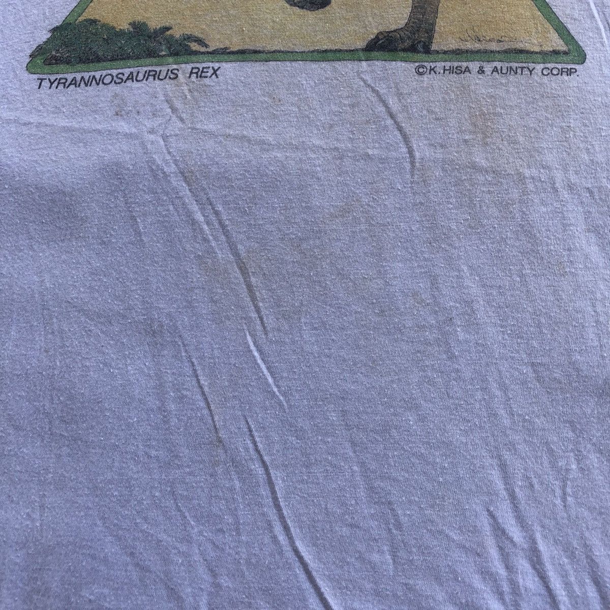 Vintage Vtg Tyrannosaurus Rex Art Tshirt Size US M / EU 48-50 / 2 - 5 Thumbnail