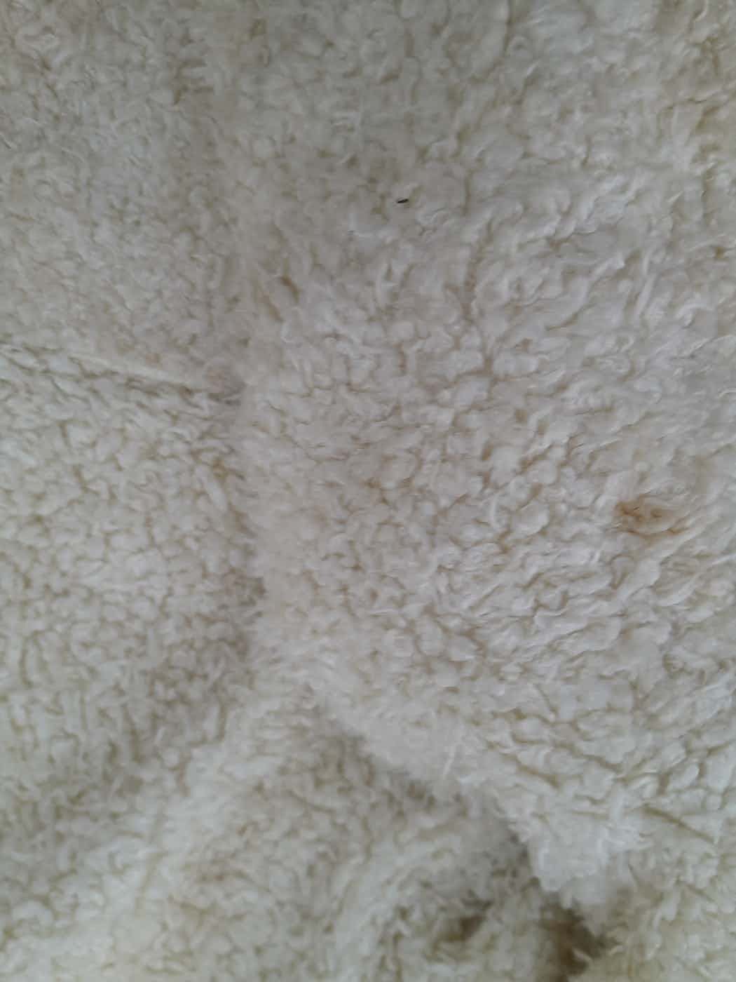Courreges COURREGES SWEATER JACKET SHERPA Size S / US 4 / IT 40 - 5 Thumbnail