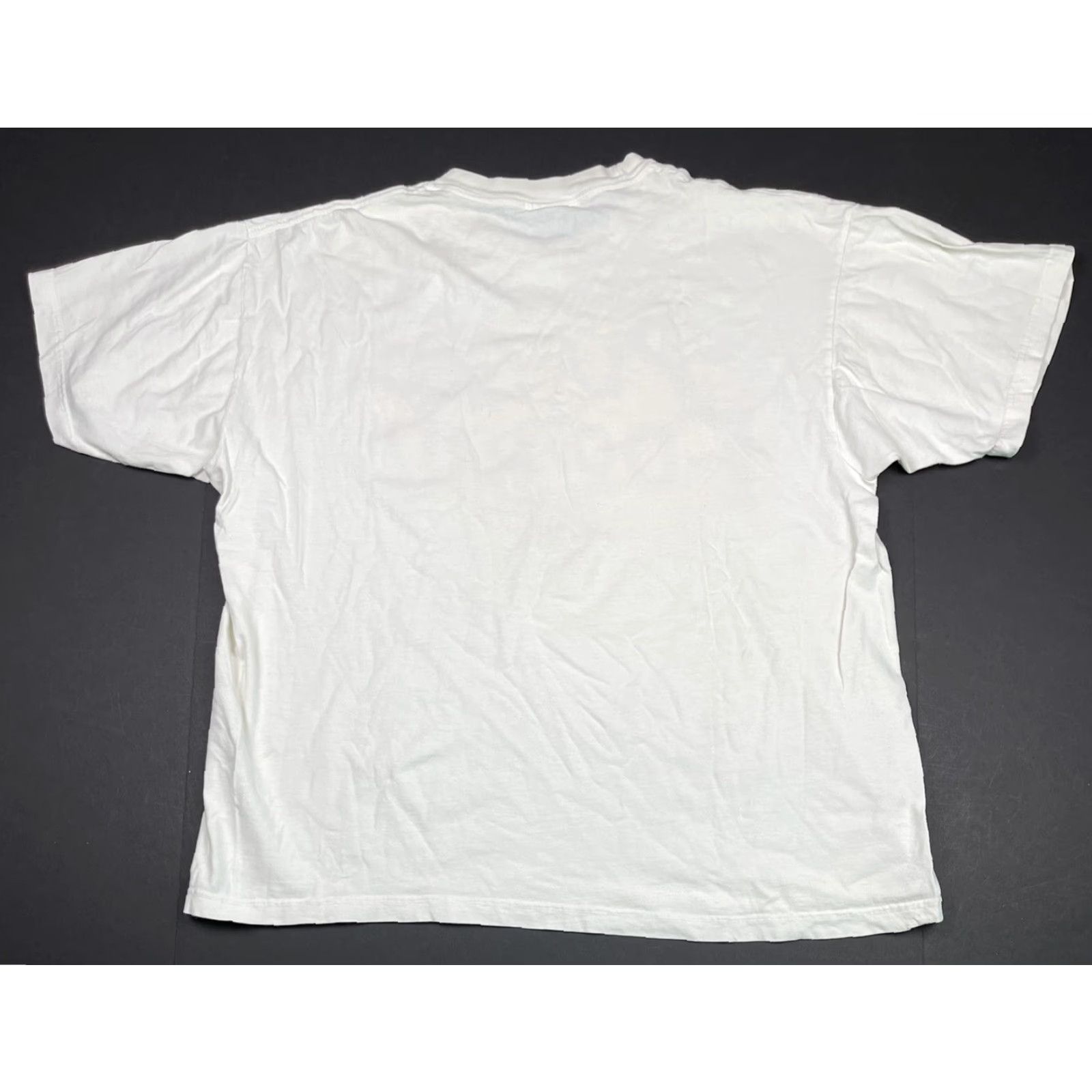 Nutmeg VINTAGE Nutmeg USA The Champ Football T-Shirt XL Men White 1996 NFL Charity 90s Mens Size US XL / EU 56 / 4 - 6 Thumbnail