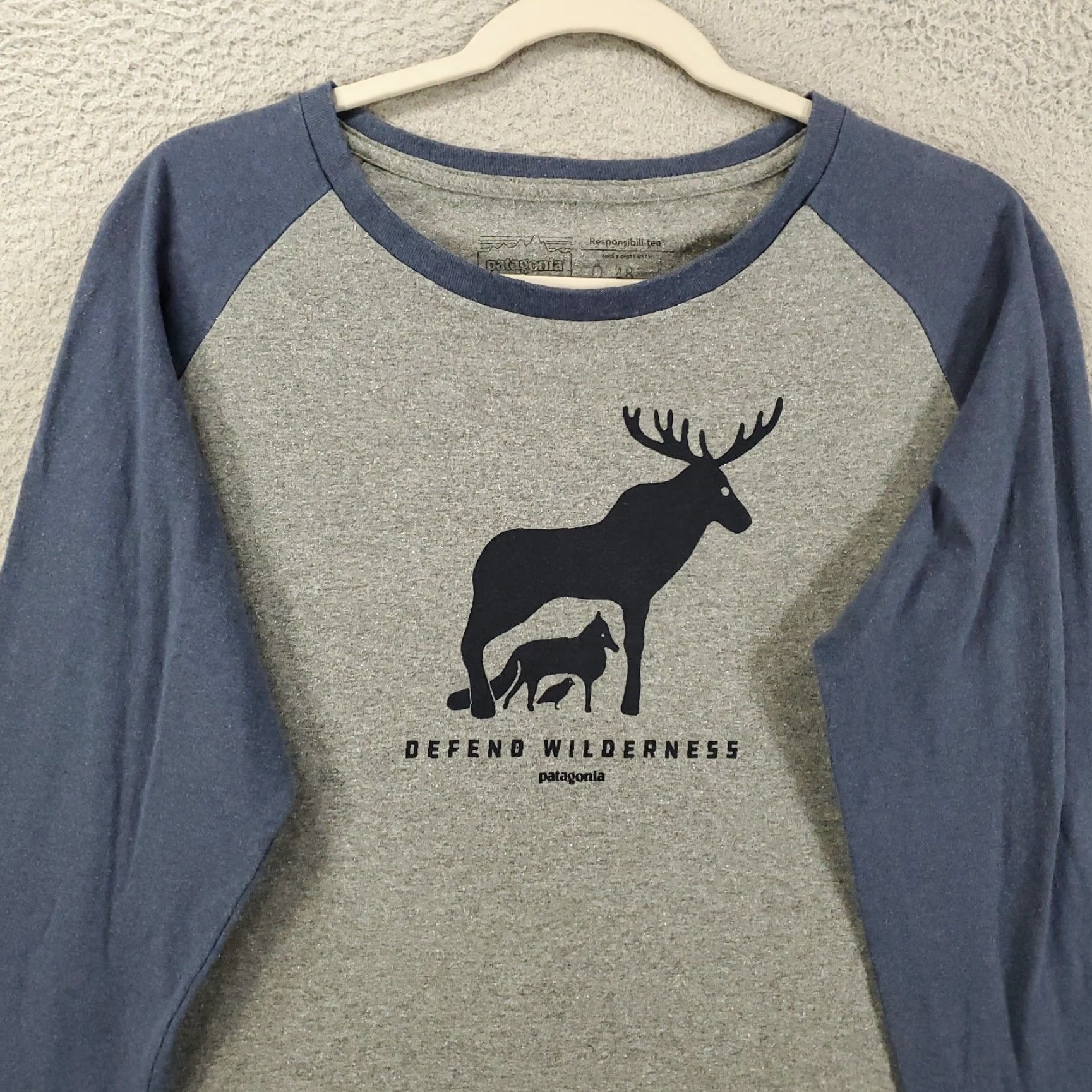 Patagonia Patagonia Shirt Women Medium Defend Wilderness Tee Gray Blue Pullover Raglan Style Basic T-Shirt Size M / US 6-8 / IT 42-44 - 2 Thumbnail