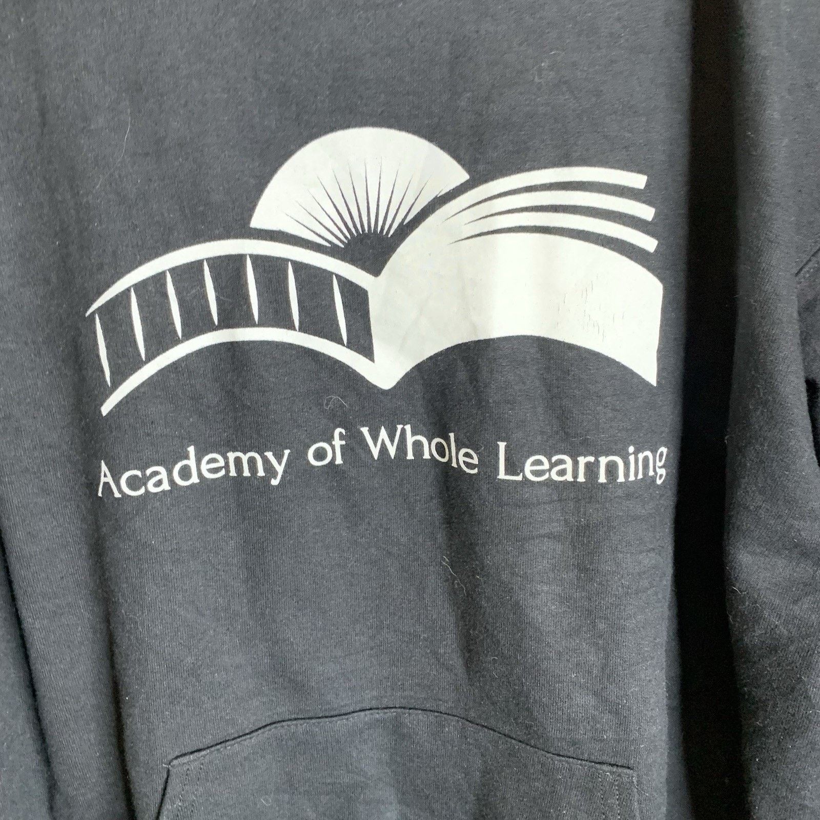 Champion Champion Academy Of Whole Learning Autism School Hoodie M Size US M / EU 48-50 / 2 - 5 Thumbnail