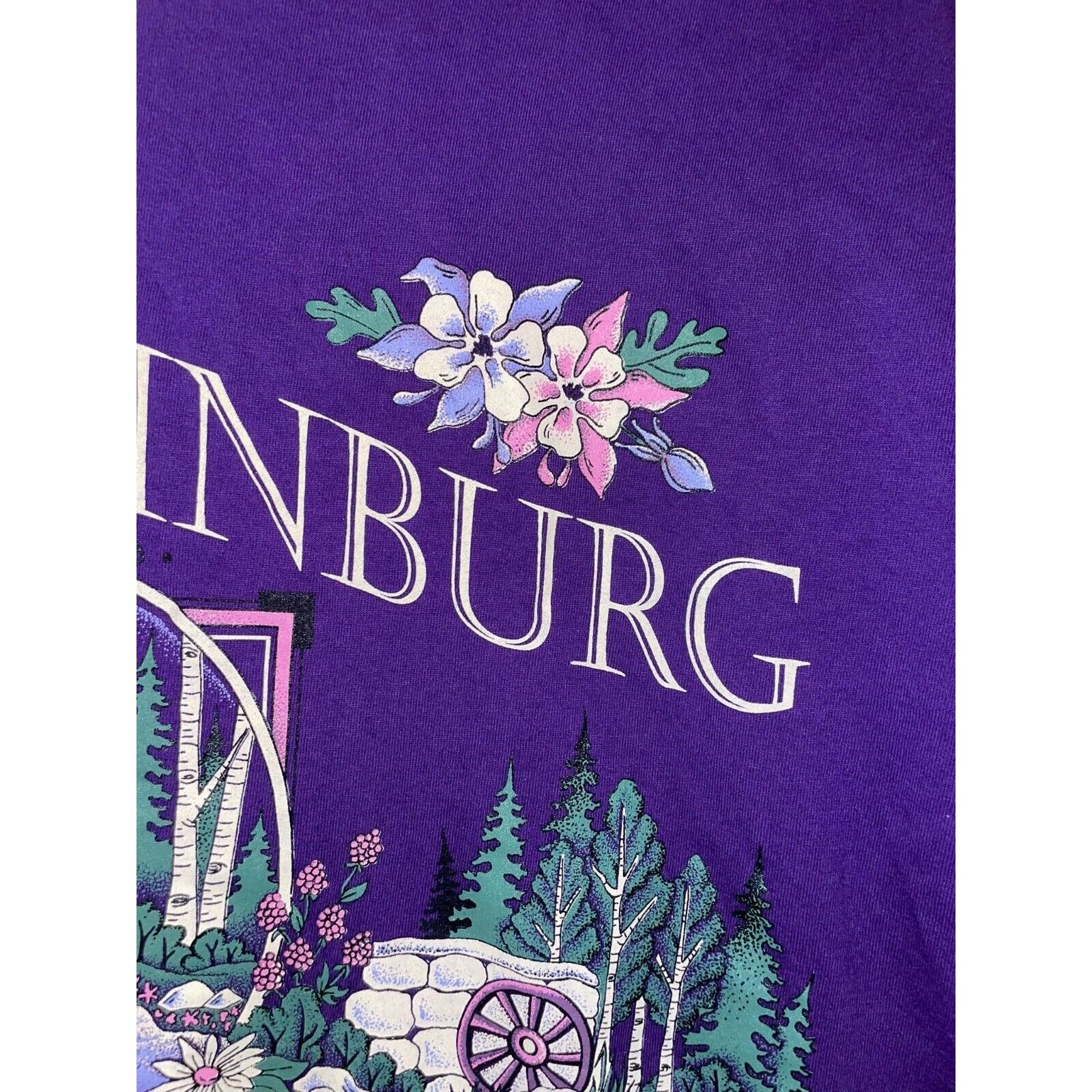 Jerzees 90s Vintage Jerzees Gatlinburg Smoky Mountains Shirt VTG L Size US L / EU 52-54 / 3 - 5 Thumbnail
