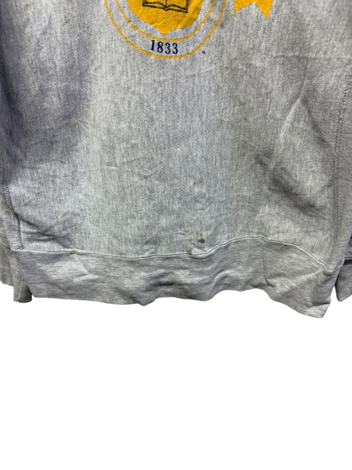 Champion Vintage champion reverse weave delawar university distressed Size US L / EU 52-54 / 3 - 5 Thumbnail