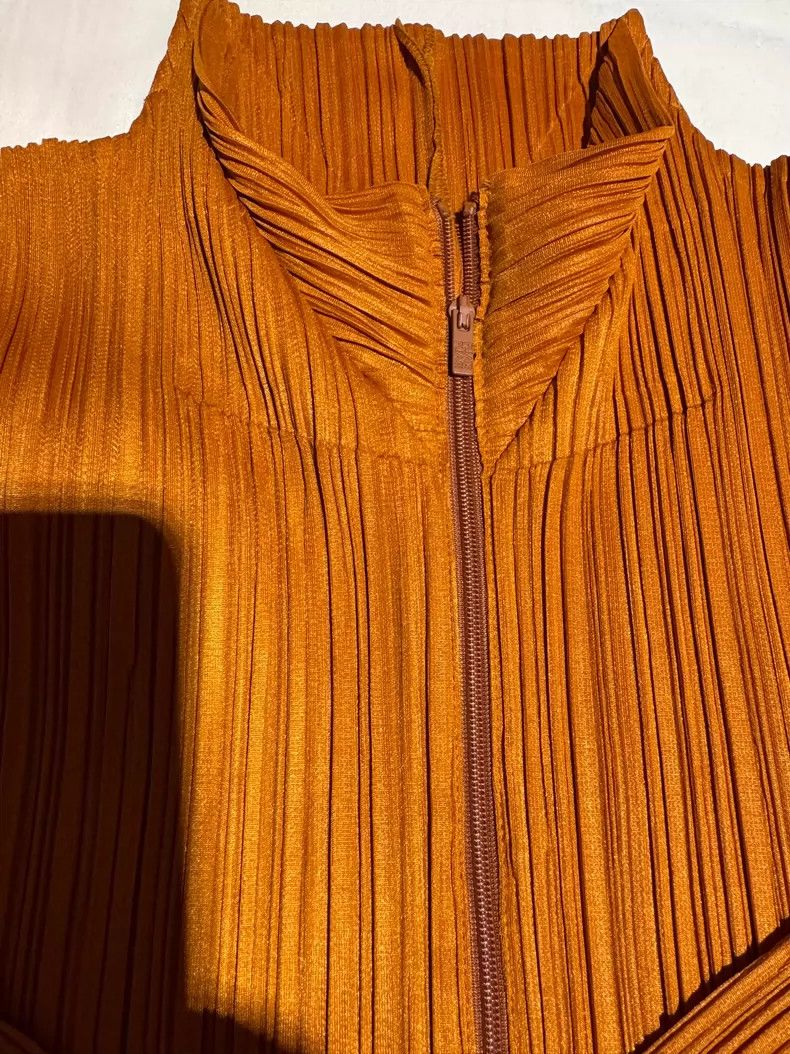 Other Issey Miyake/三宅一生 size:3 Brown pleated coat Size XS / US 0-2 / IT 36-38 - 2 Thumbnail