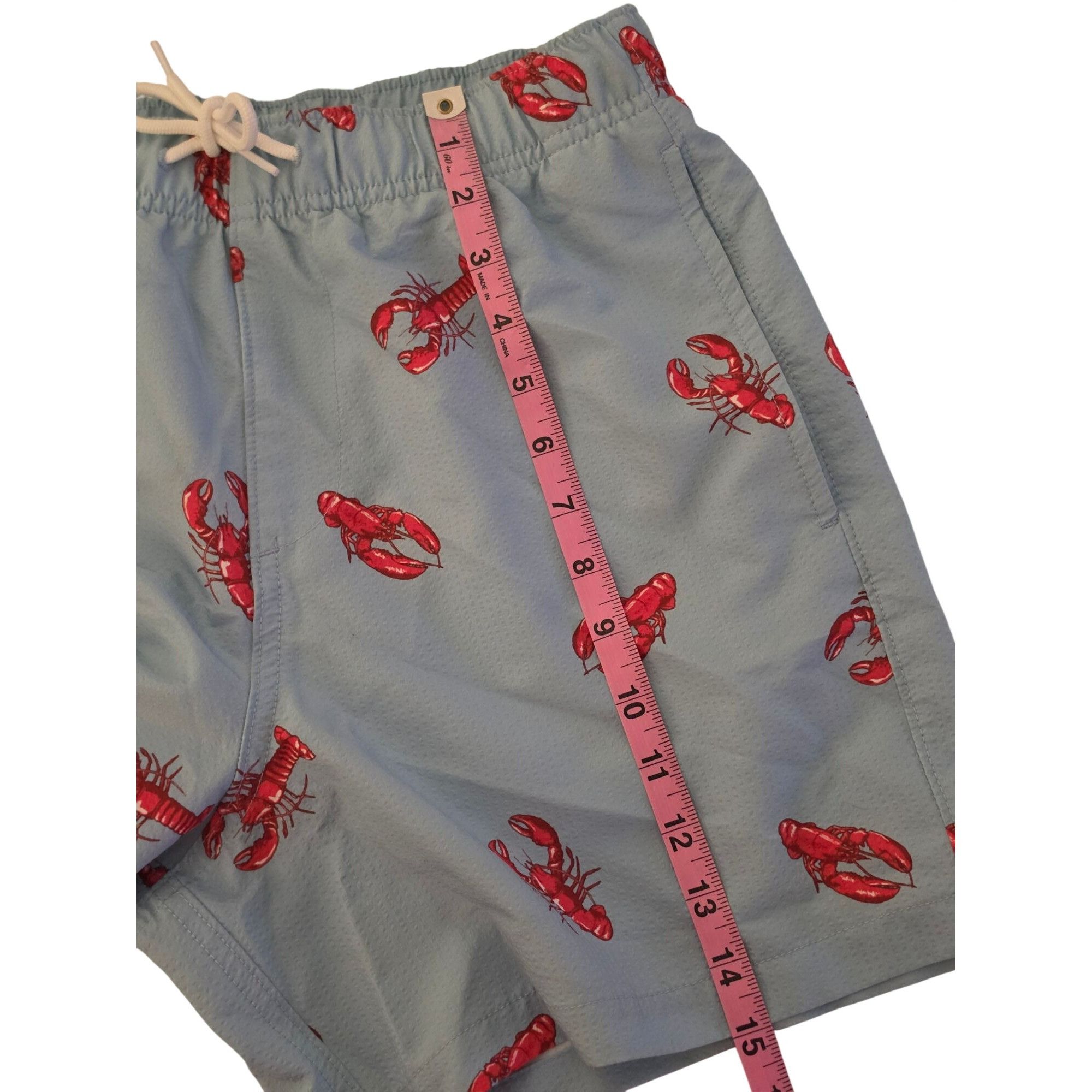 Hollister Hollister Lobster Swim Trunks Mens Small Blue Red Print Line Size US 28 / EU 44 - 10 Thumbnail
